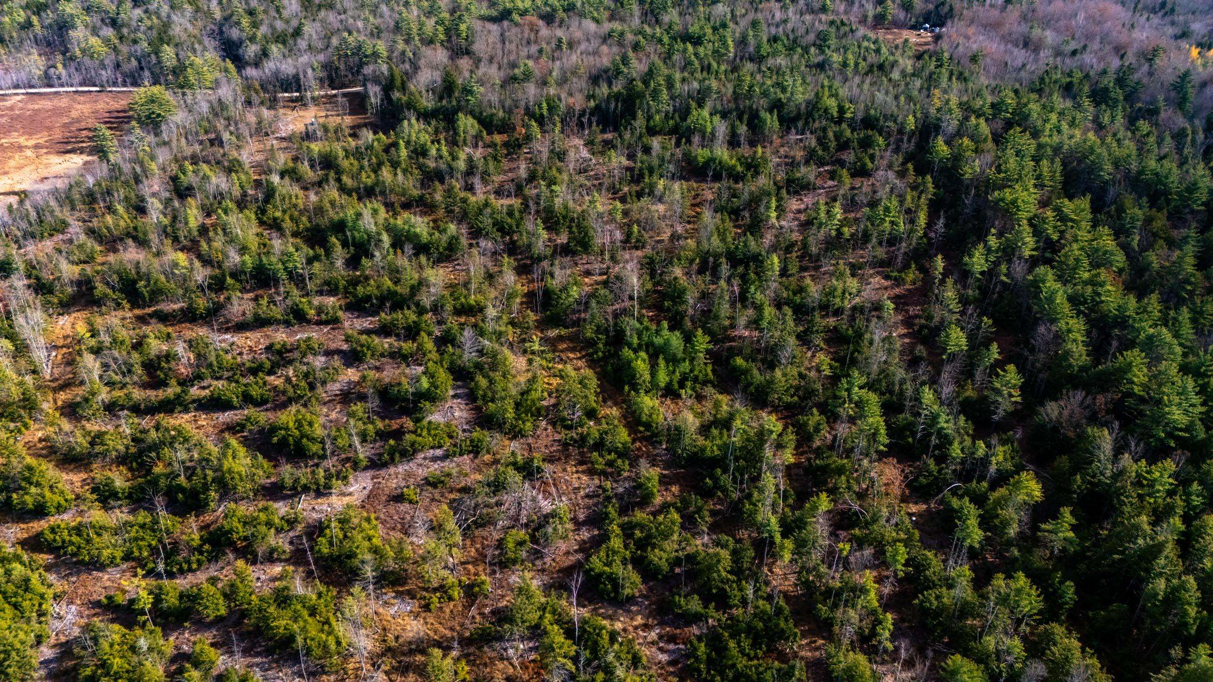 00 Leighton Corner Rd, Ossipee, NH 03864