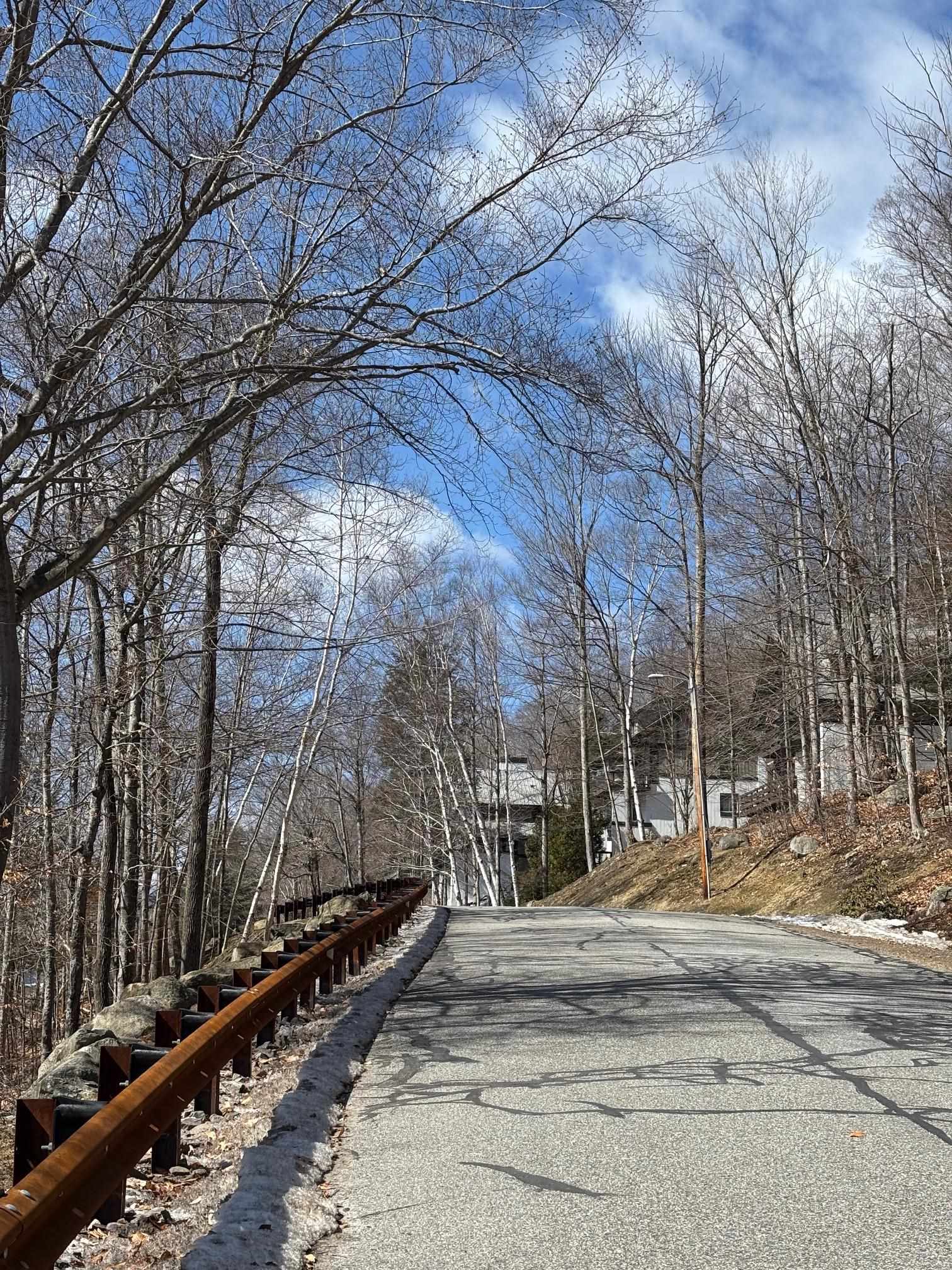 3 Blueberry Rd, Lincoln, NH 03251