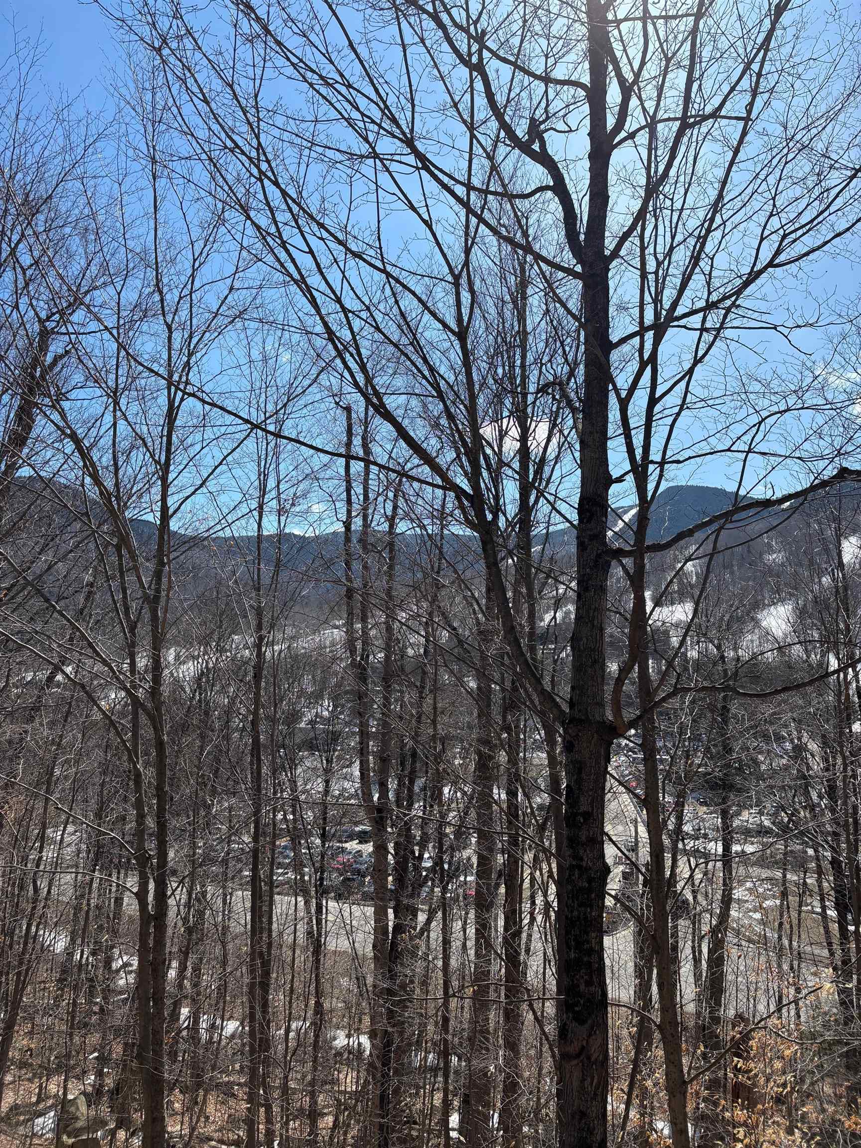 3 Blueberry Rd, Lincoln, NH 03251