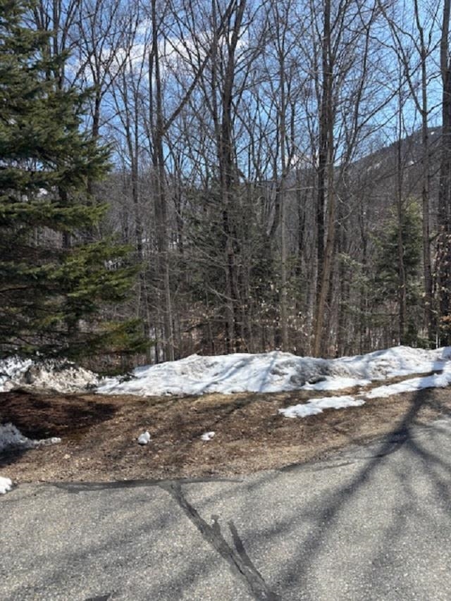 3 Blueberry Rd, Lincoln, NH 03251