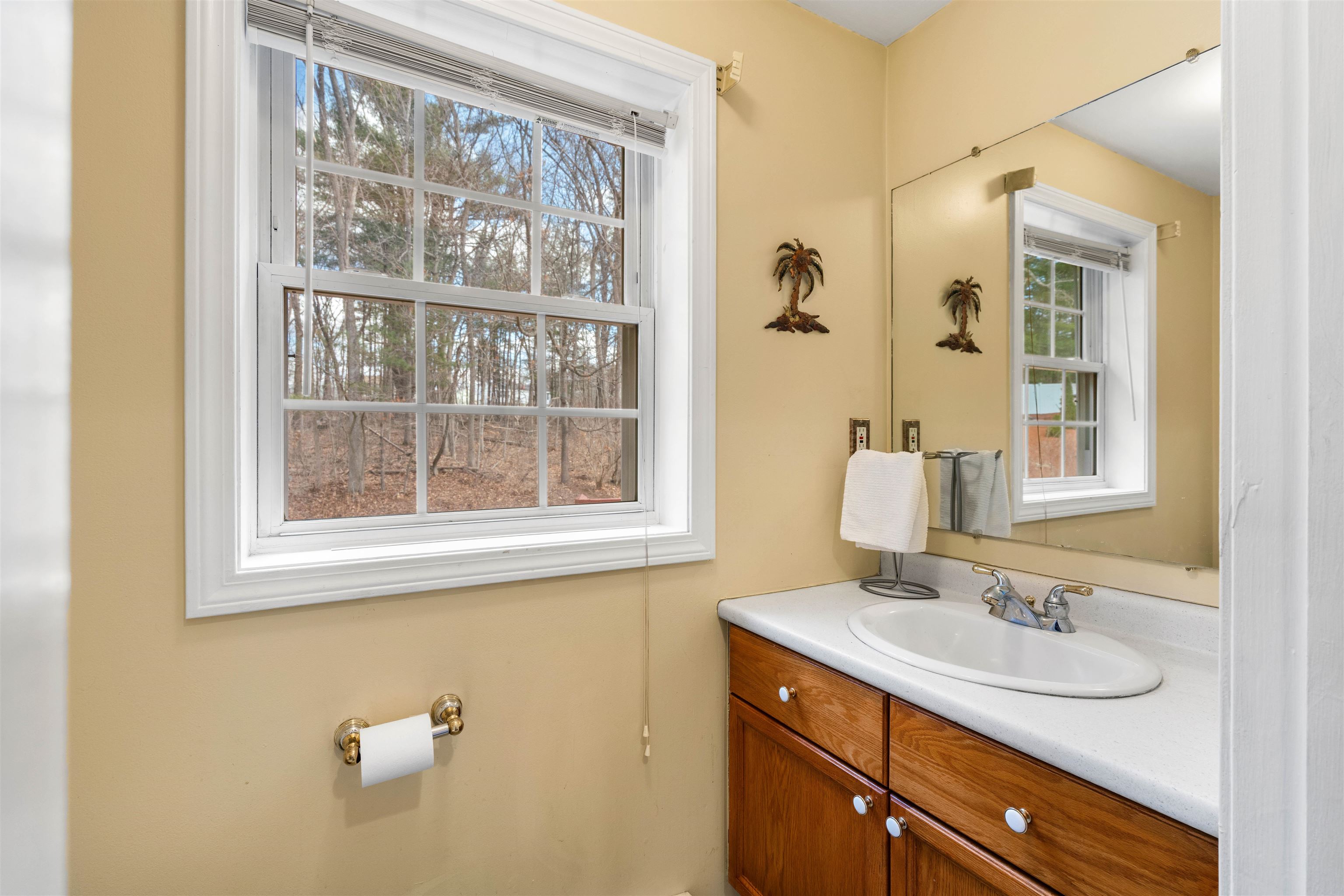 5 Magnolia Ln, Derry, NH 03038