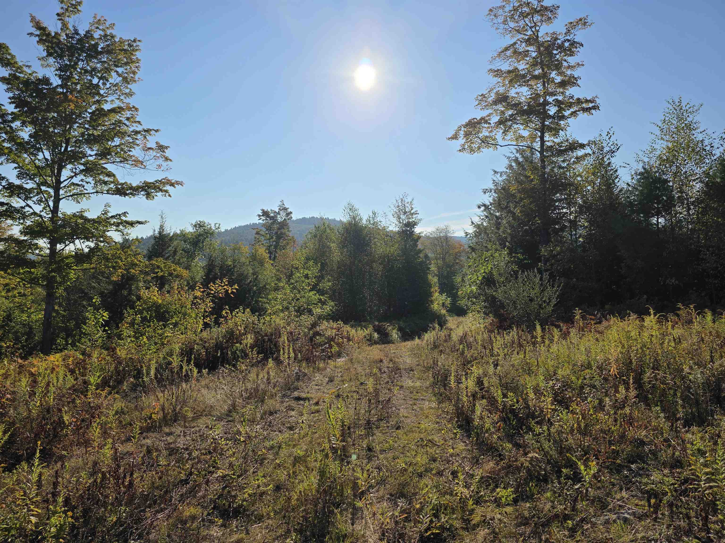 0 Nh Route 103, Warner, NH 03278