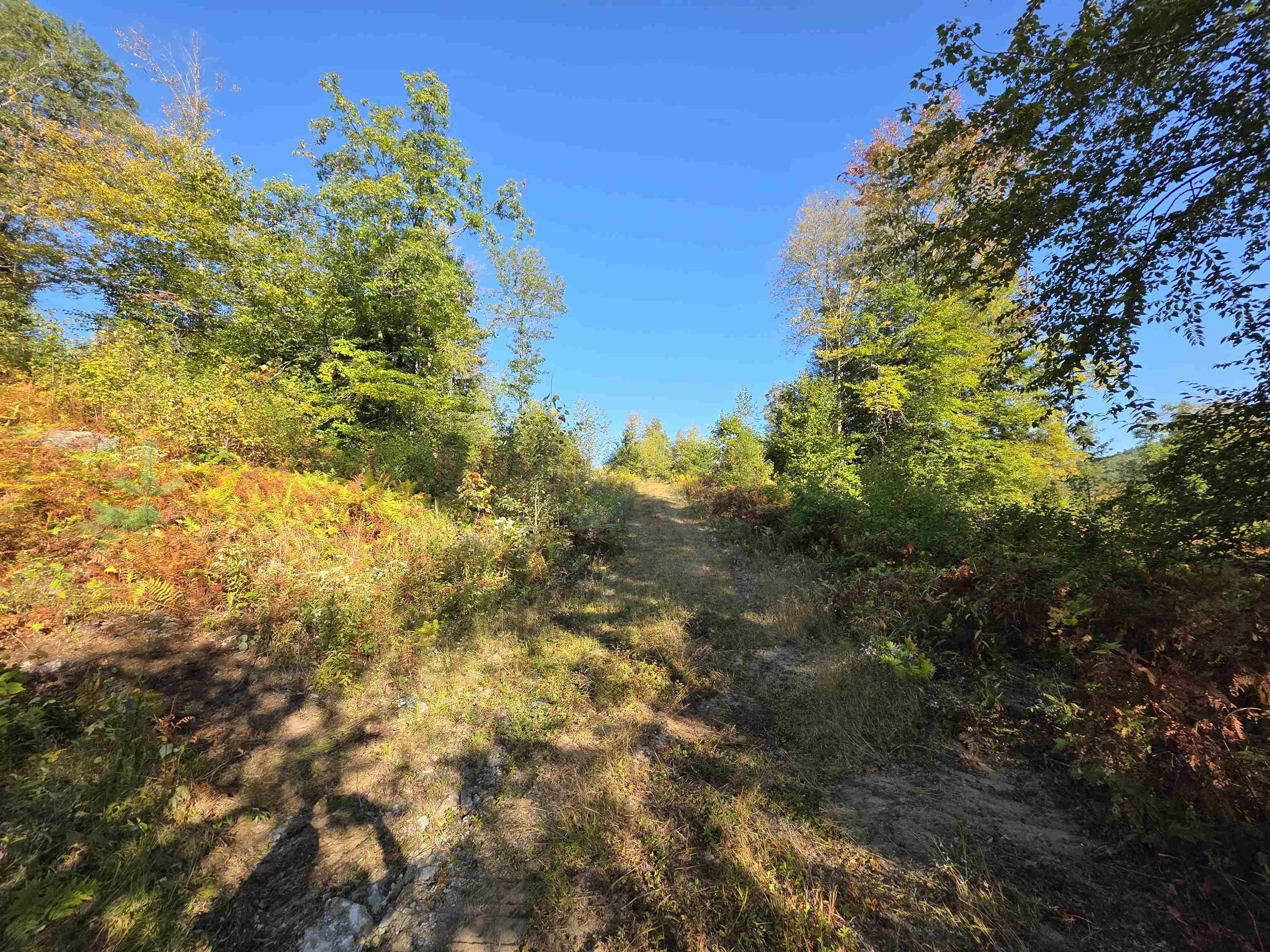 0 Nh Route 103, Warner, NH 03278