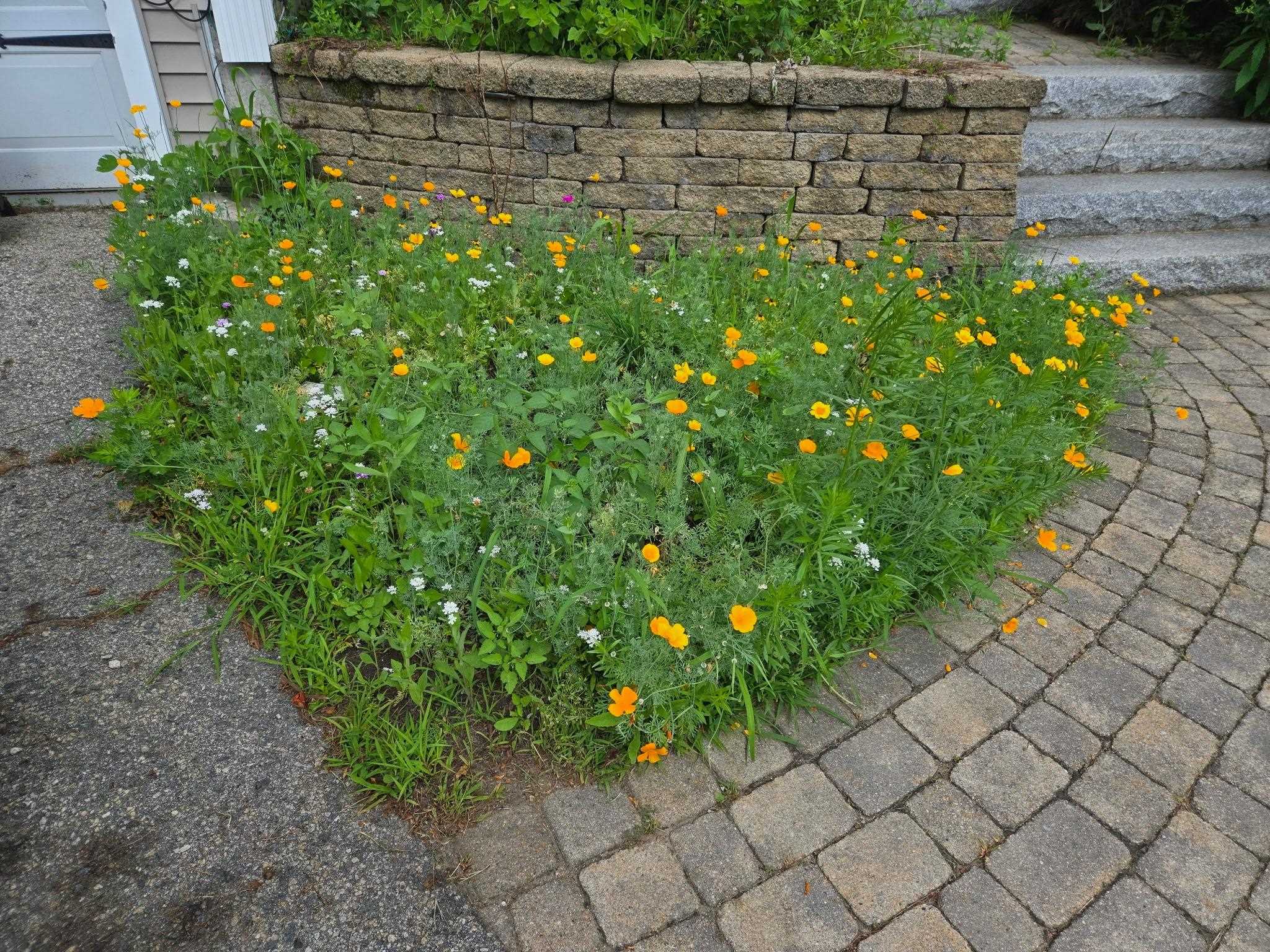 27 Red Squirrel Ln, Chester, NH 03036-4241