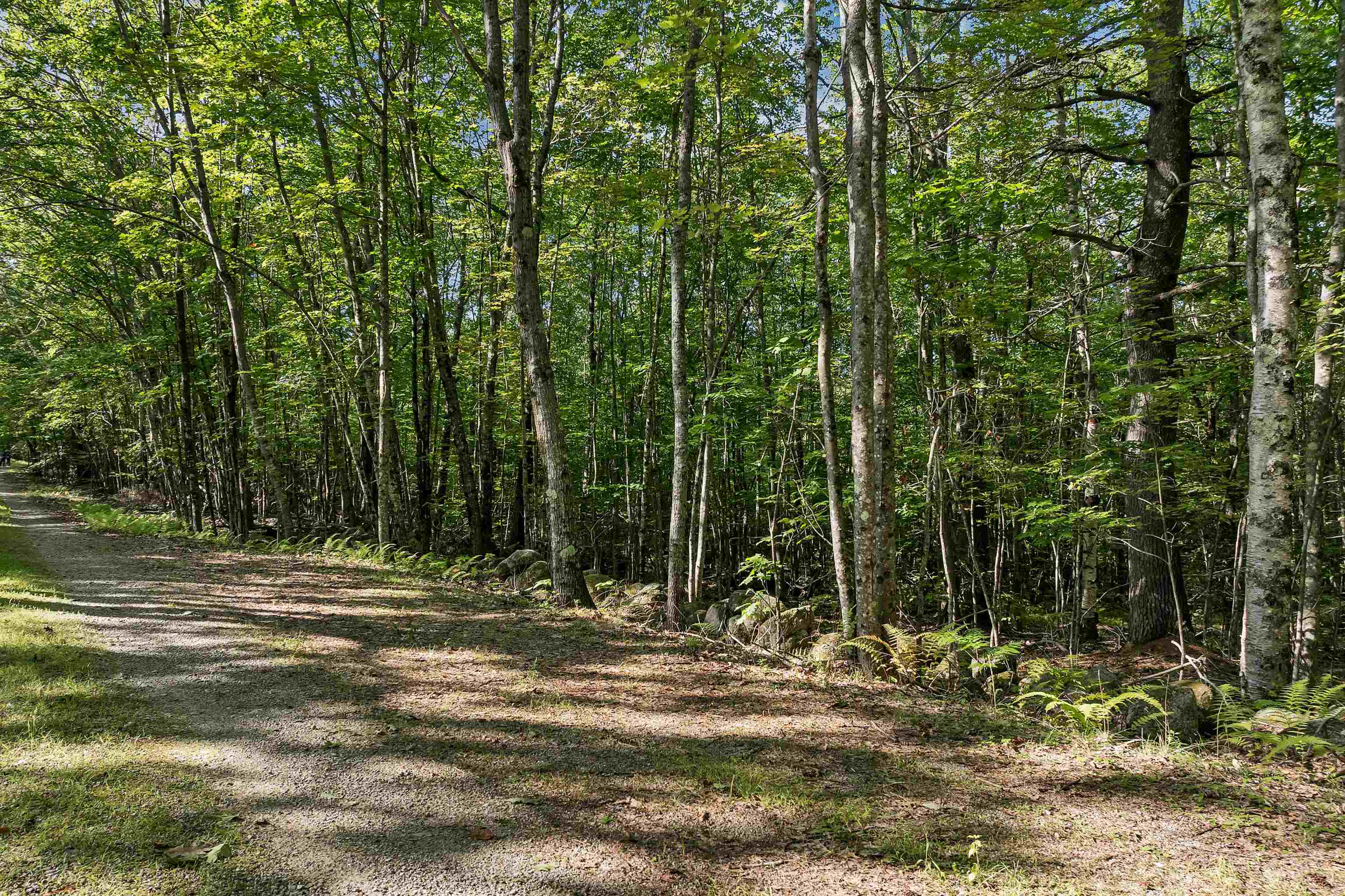 0 Chamberlain Rd, Alton, NH 03809