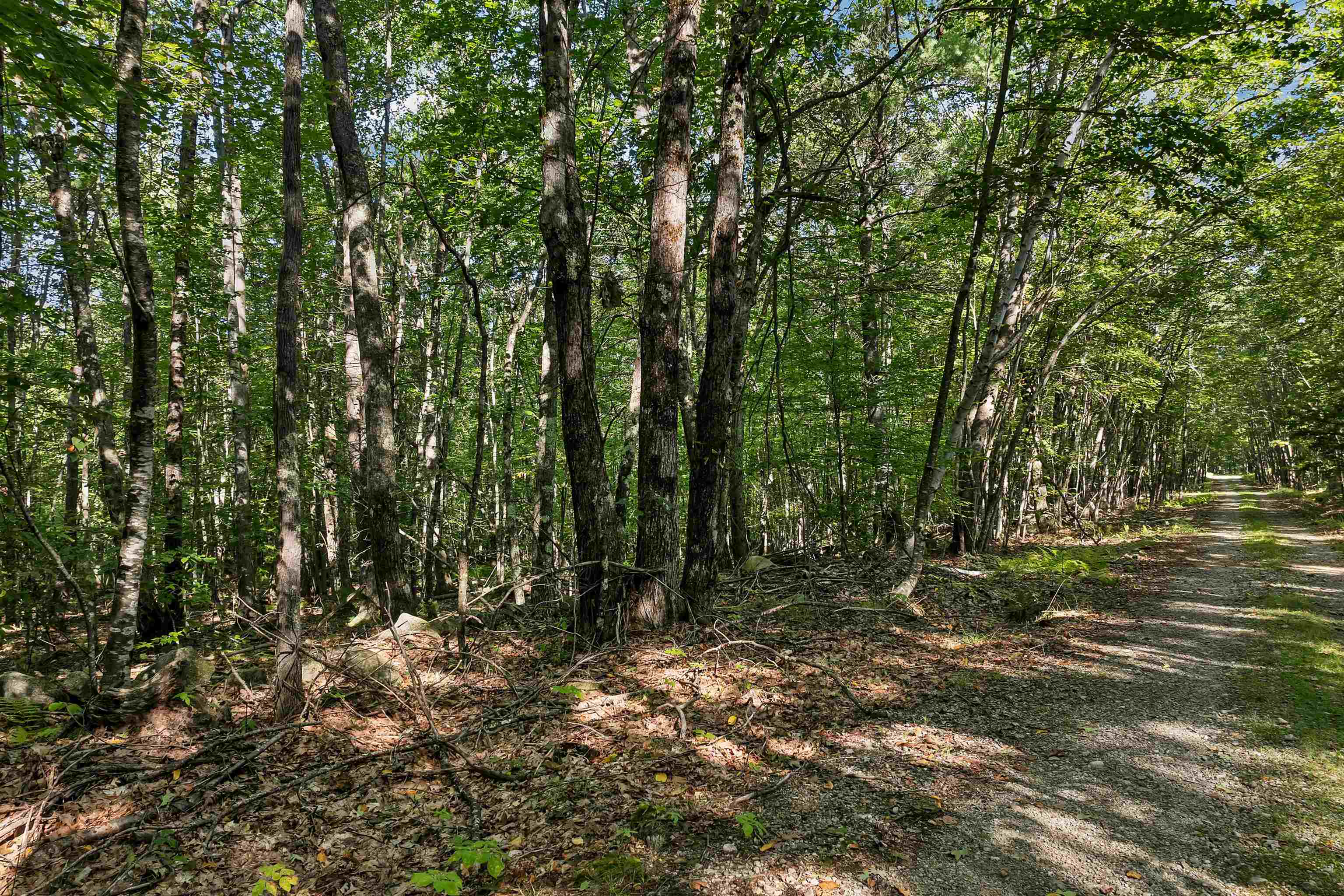 0 Chamberlain Rd, Alton, NH 03809