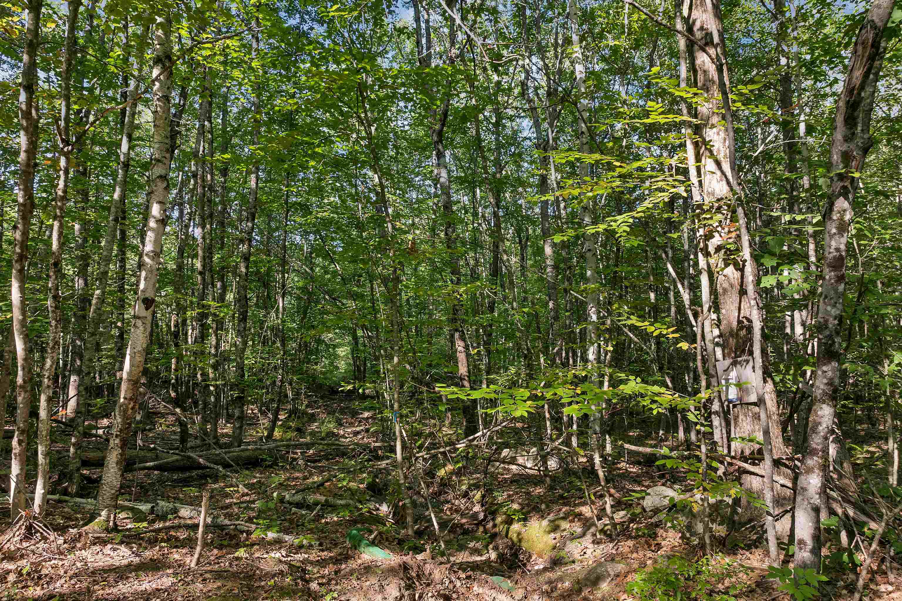 0 Chamberlain Rd, Alton, NH 03809