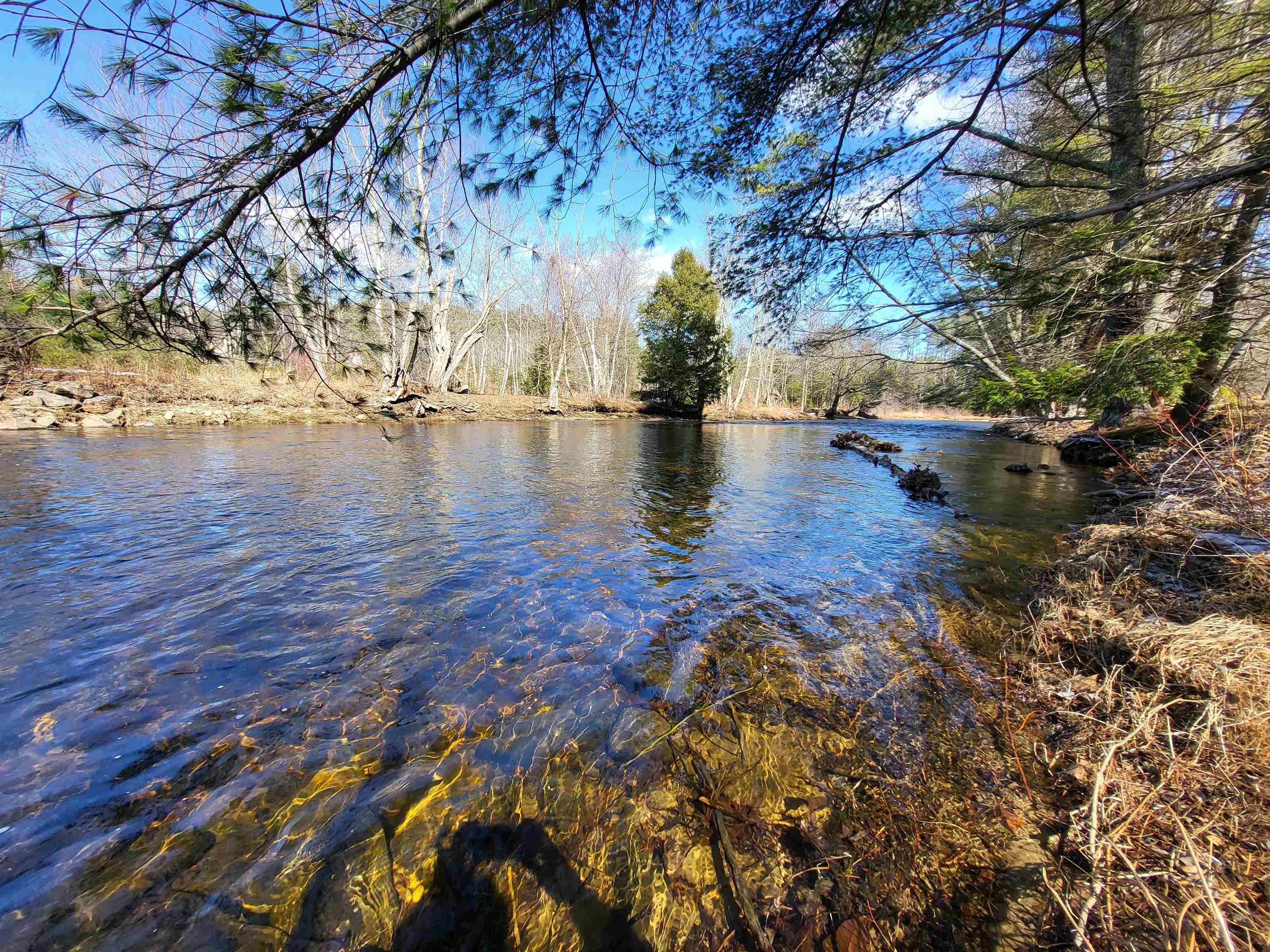 15 Berry Rd, Alexandria, NH 03222