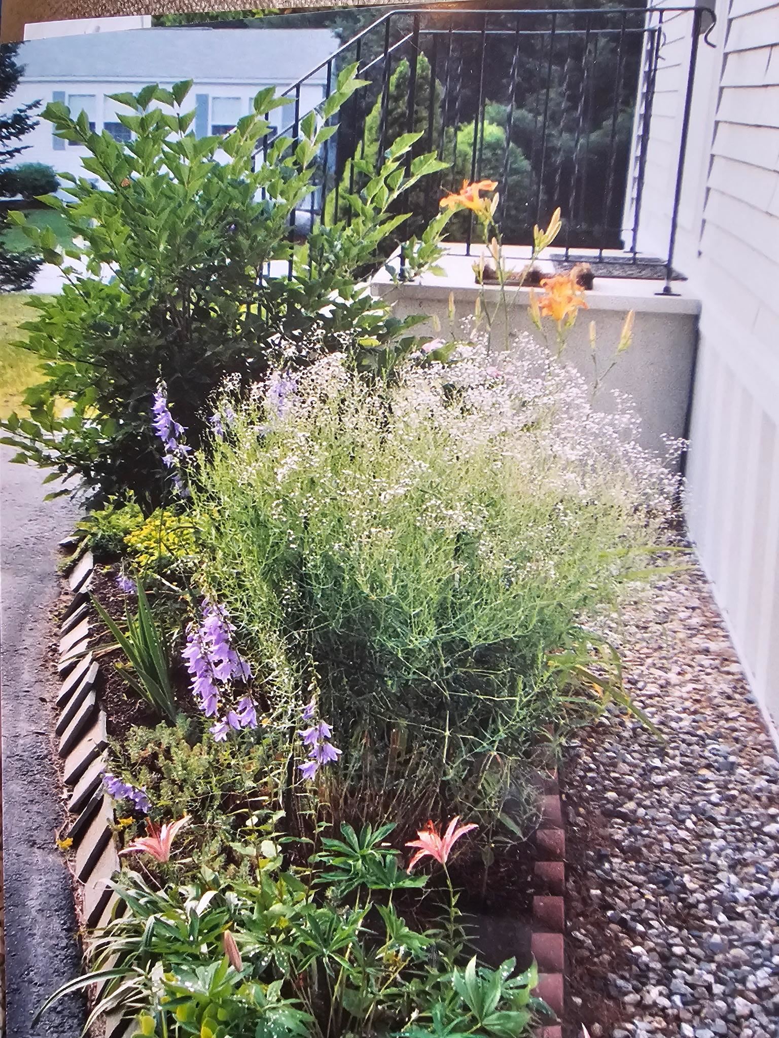 1 Harvey Brook Rd, Wolfeboro, NH 03894