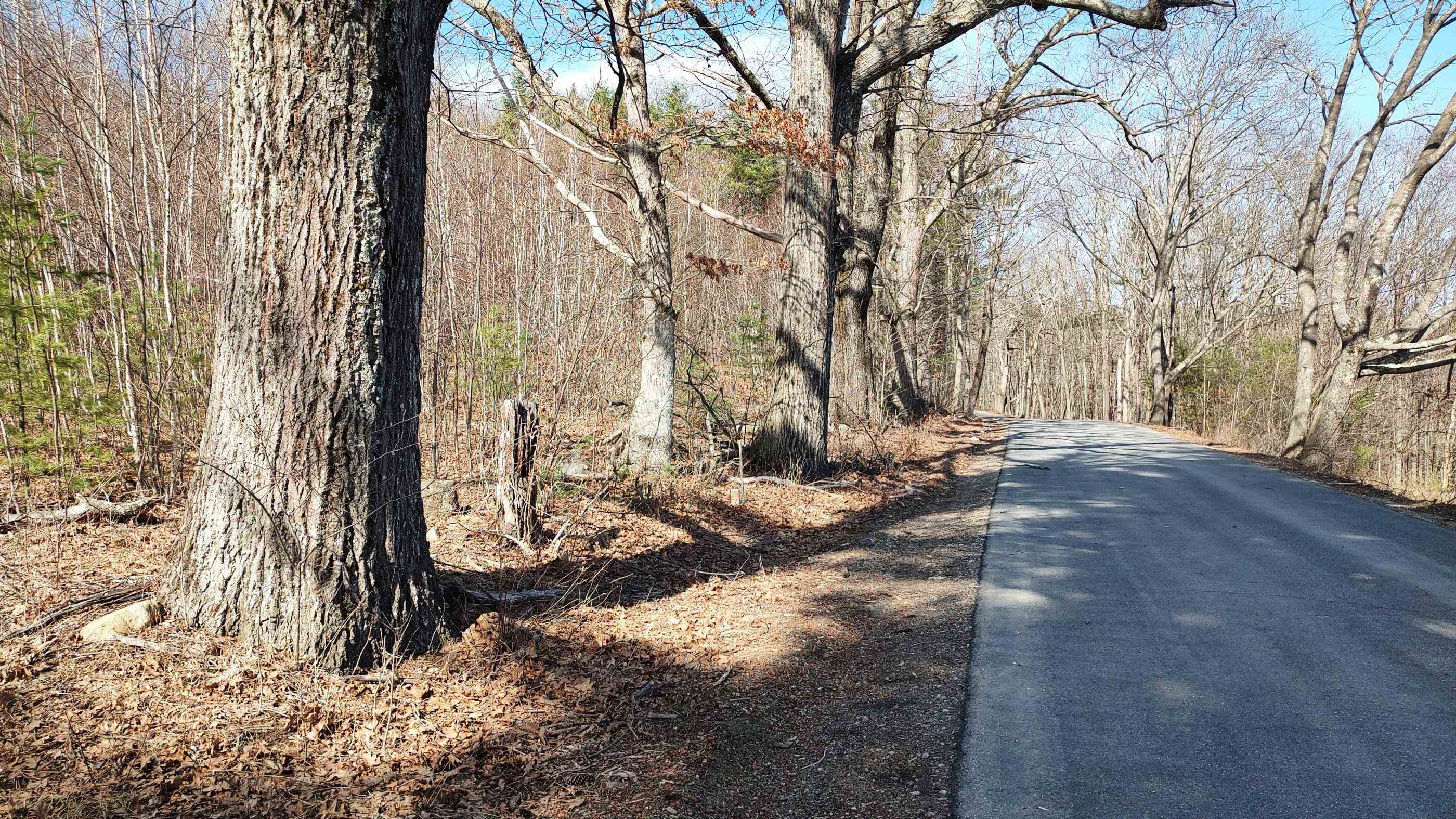 1-50-3 Colburn Rd, New Boston, NH 03070