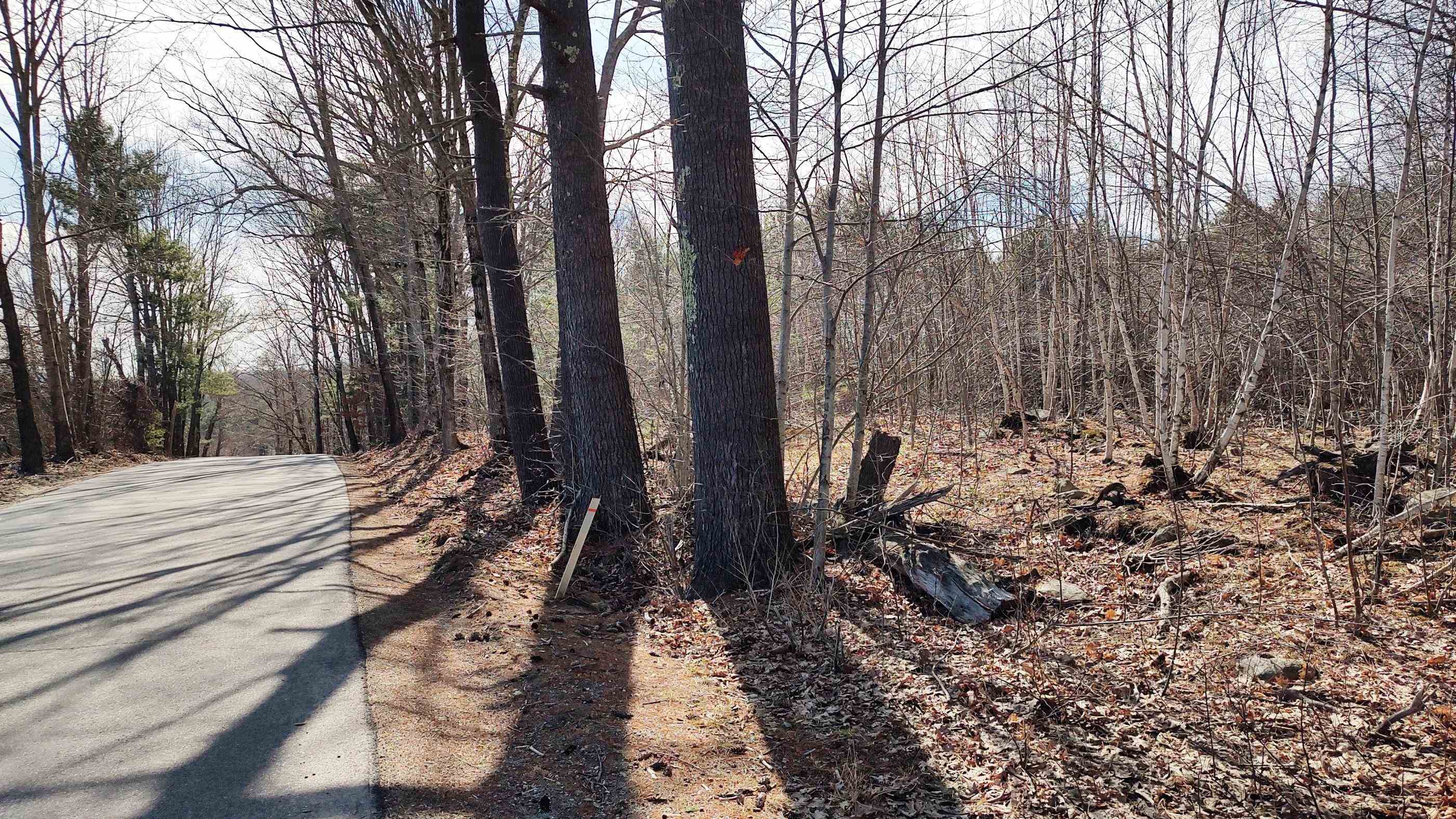 1-50-3 Colburn Rd, New Boston, NH 03070