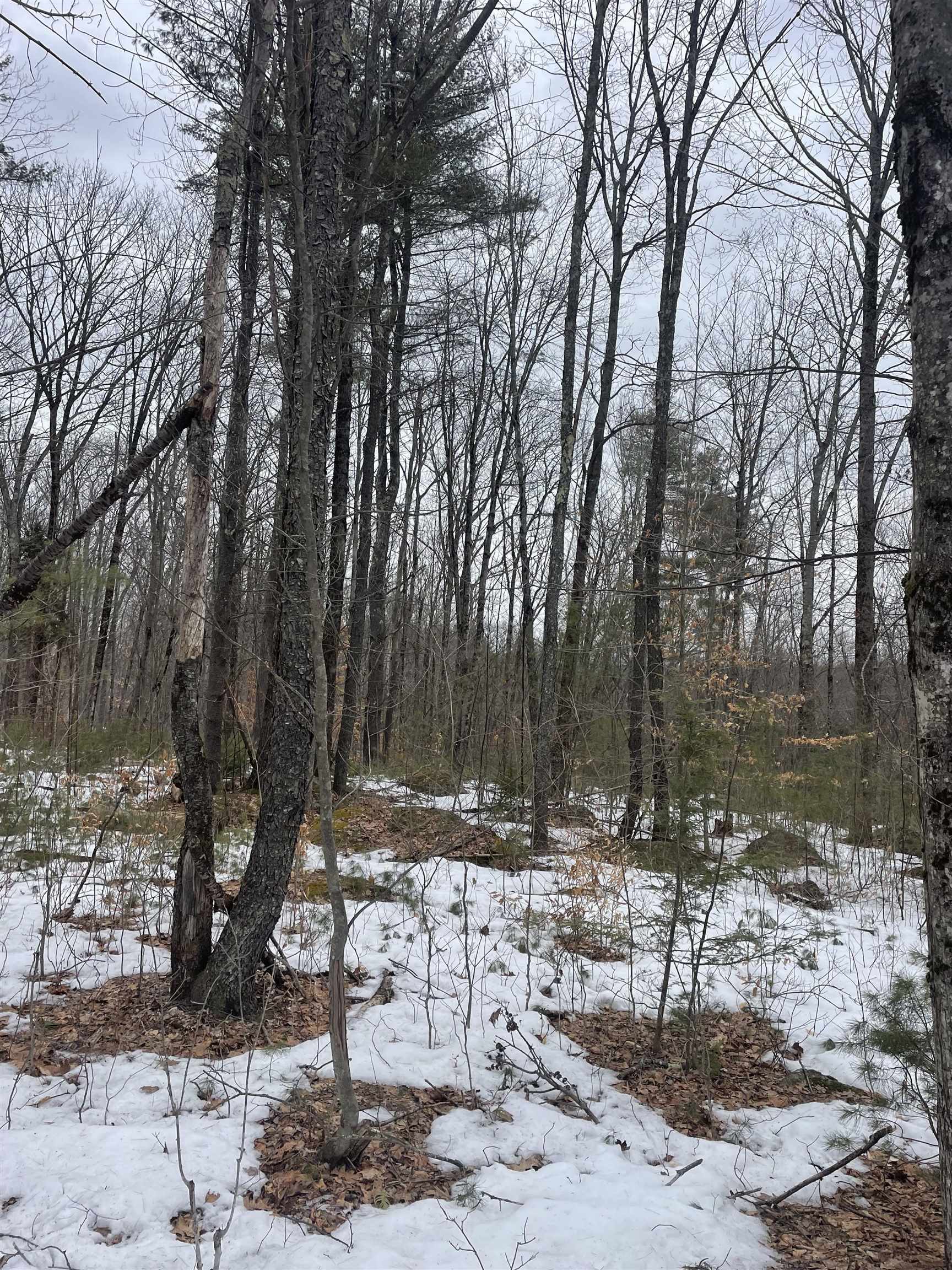 Lot 13-9 E Washington Rd, Washington, NH 03280