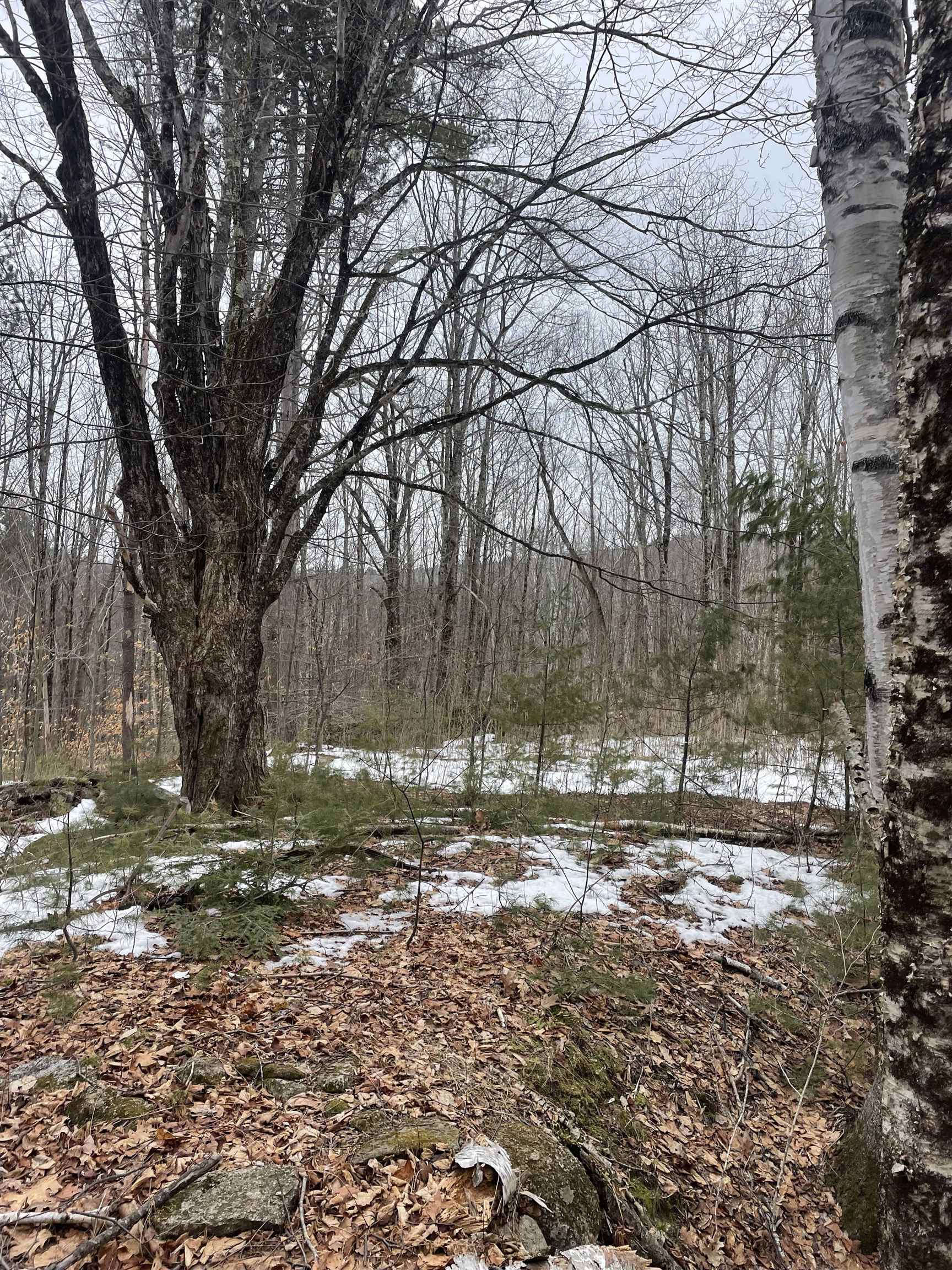 Lot 13-9 E Washington Rd, Washington, NH 03280
