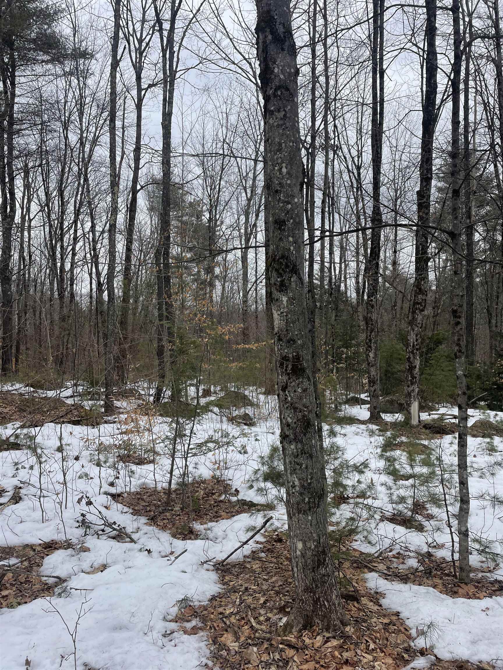 Lot 13-9 E Washington Rd, Washington, NH 03280