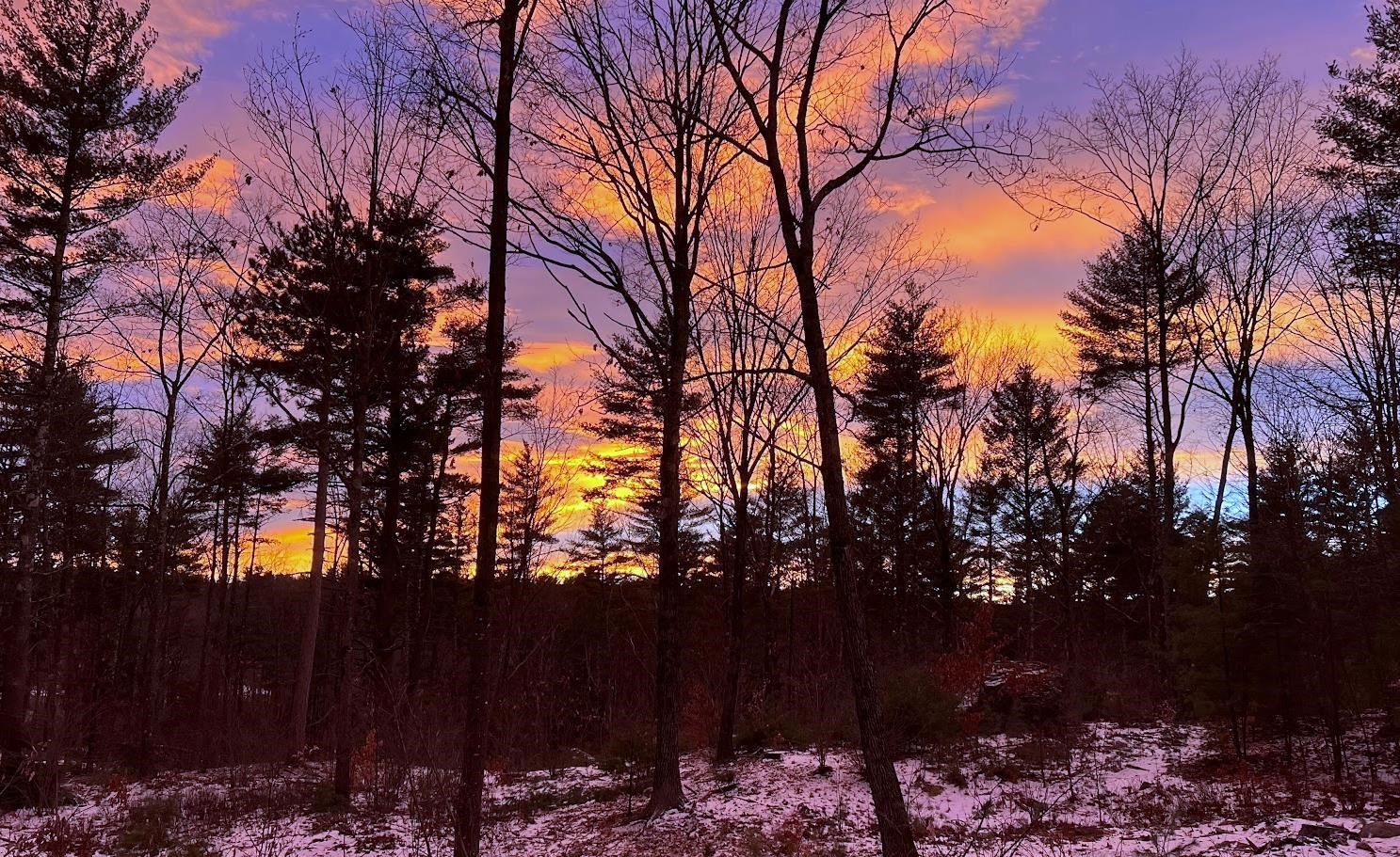 17 Todd Rd, Francestown, NH 03043