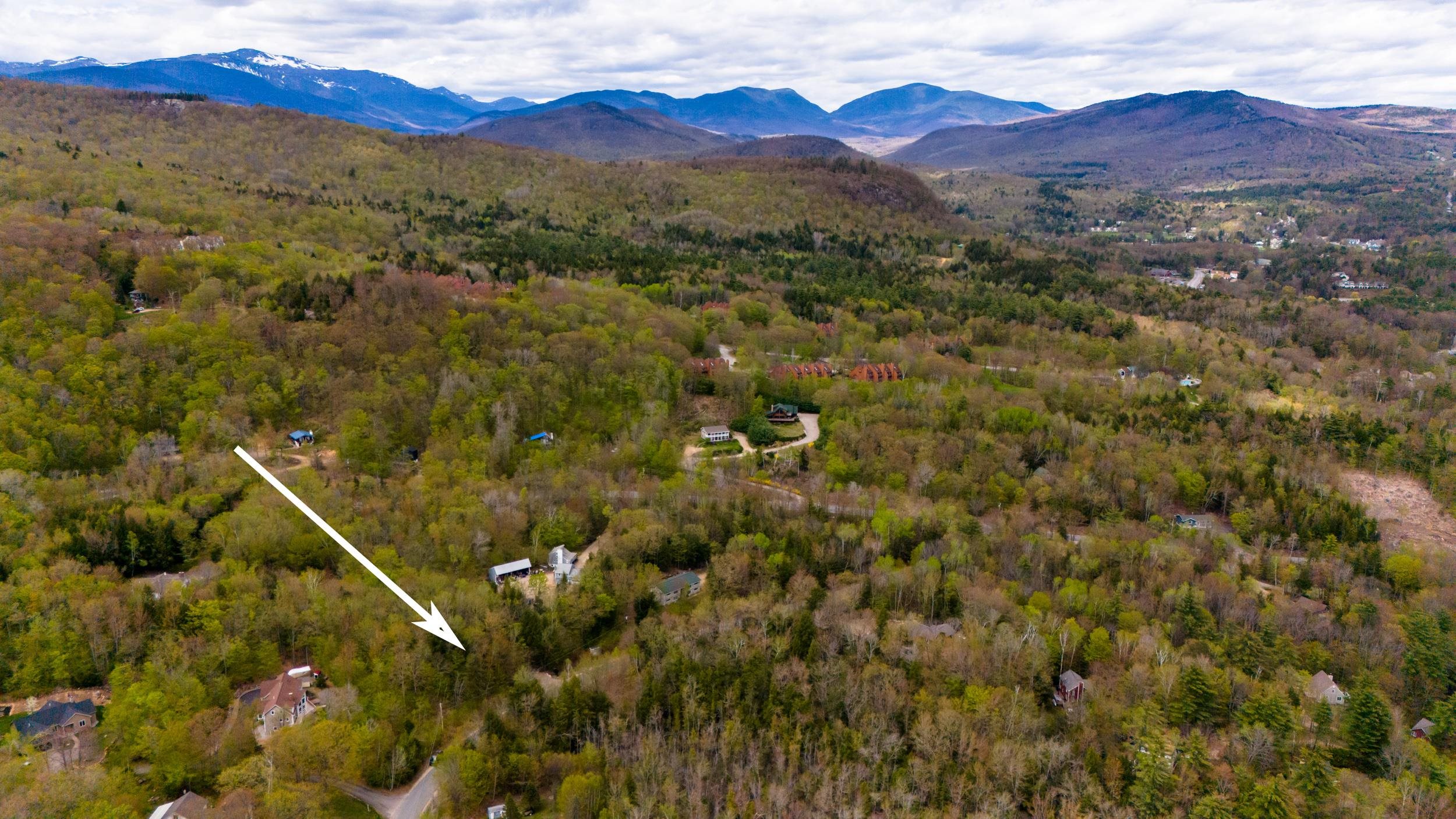 00 Ellis Ridge Rd, Bartlett, NH 03838