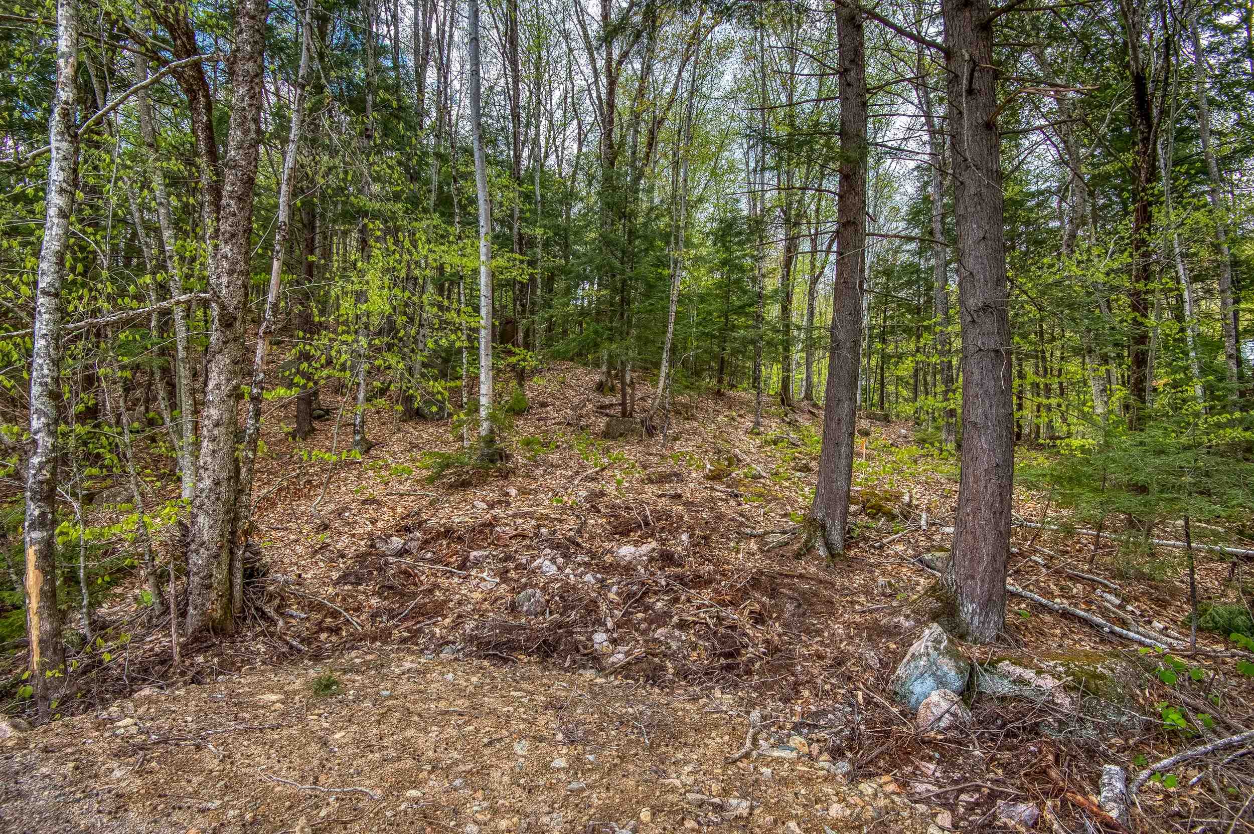 00 Ellis Ridge Rd, Bartlett, NH 03838