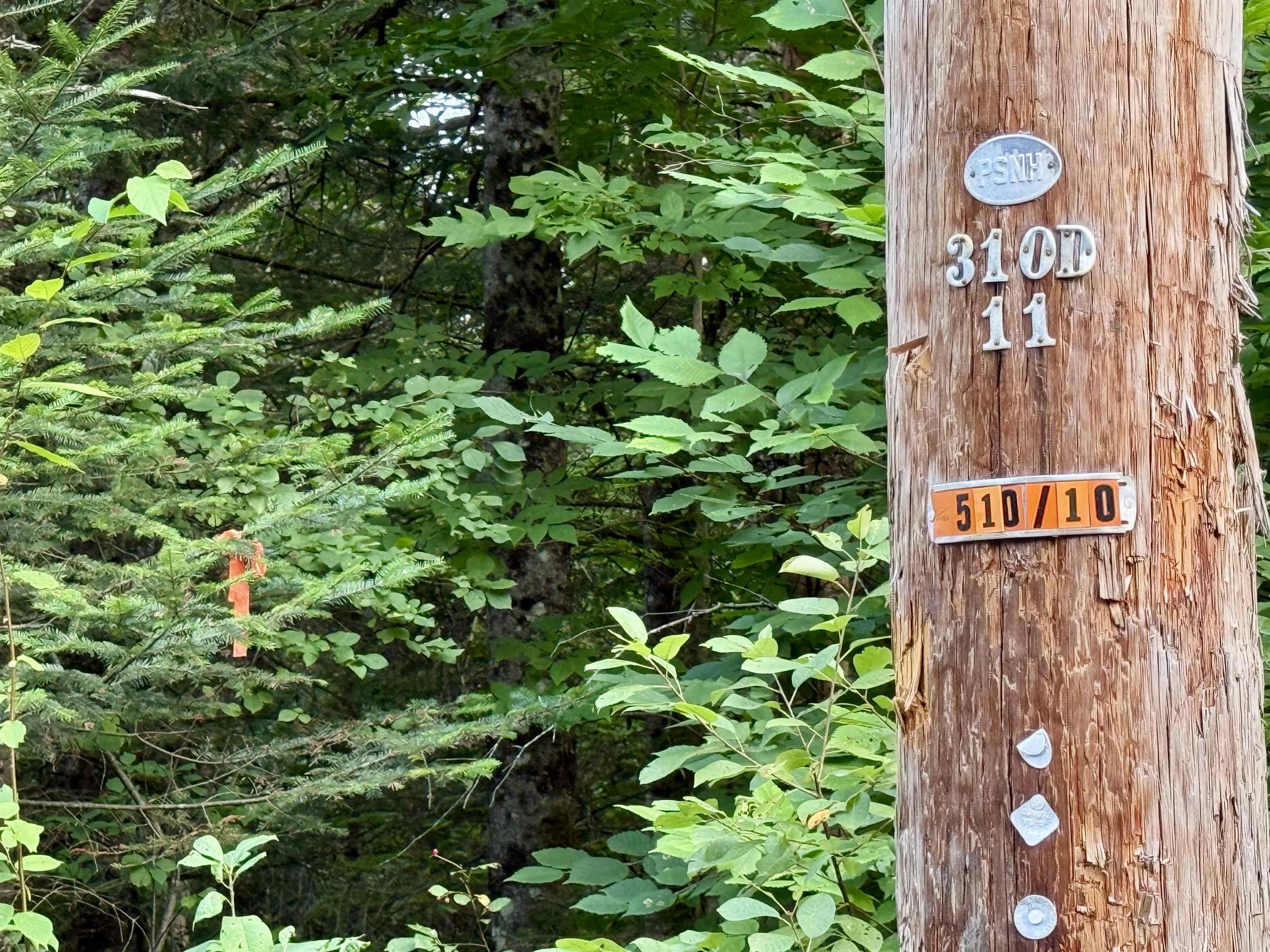 53 Pleasant Valley Rd, Lancaster, NH 03584