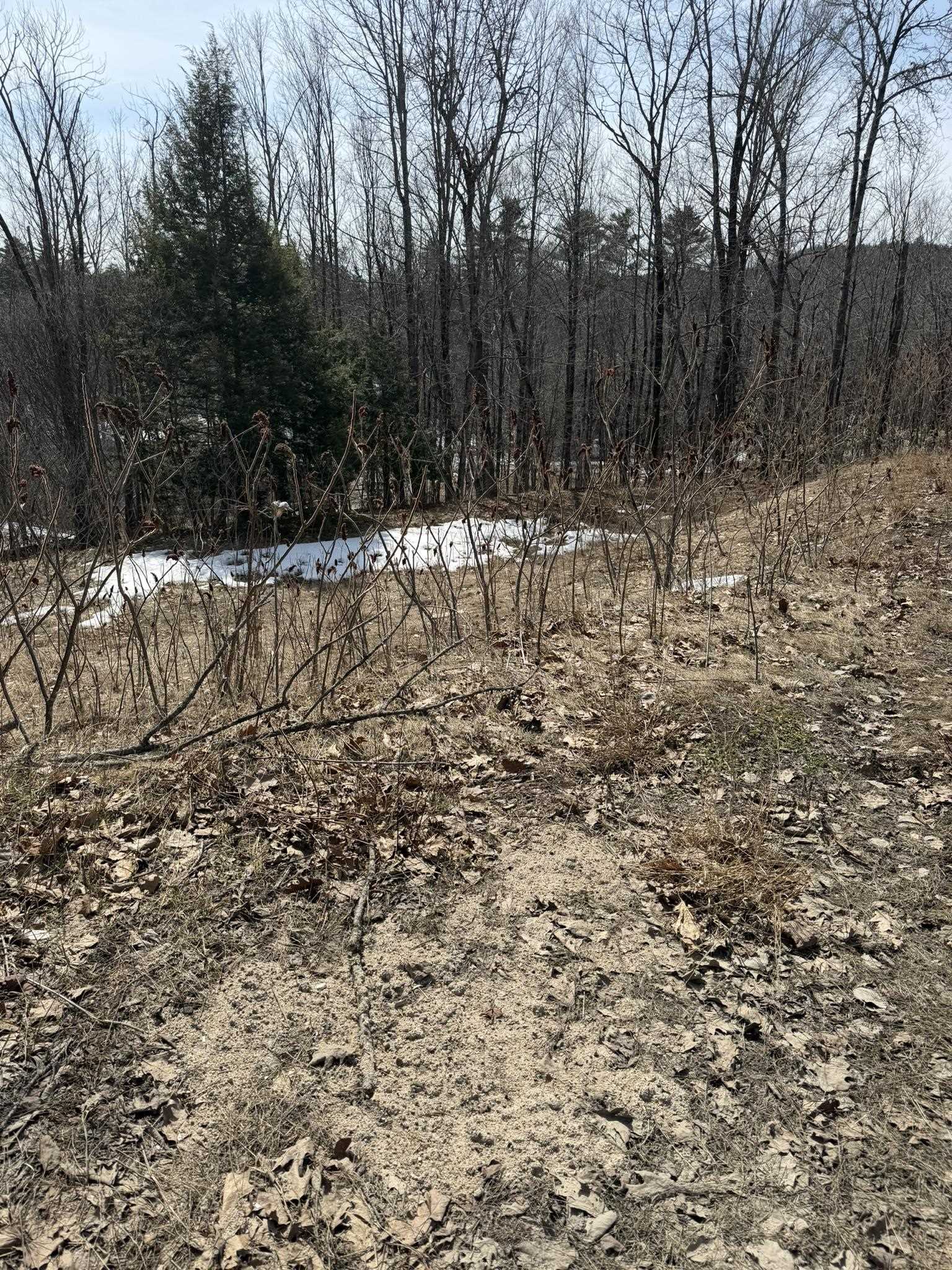 119 Moultonville Rd, Ossipee, NH 03814