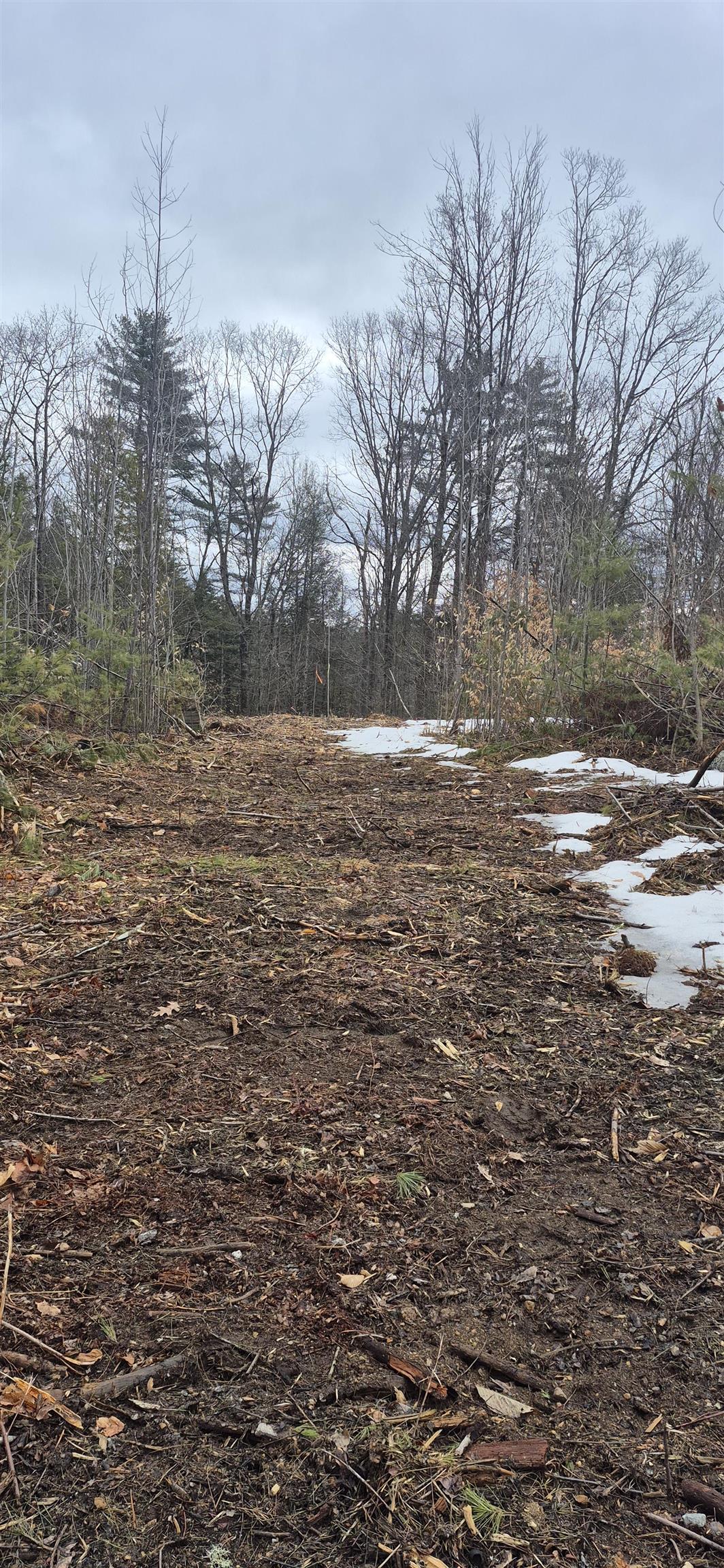 0 Poverty Plain Rd, Hillsborough, NH 03244