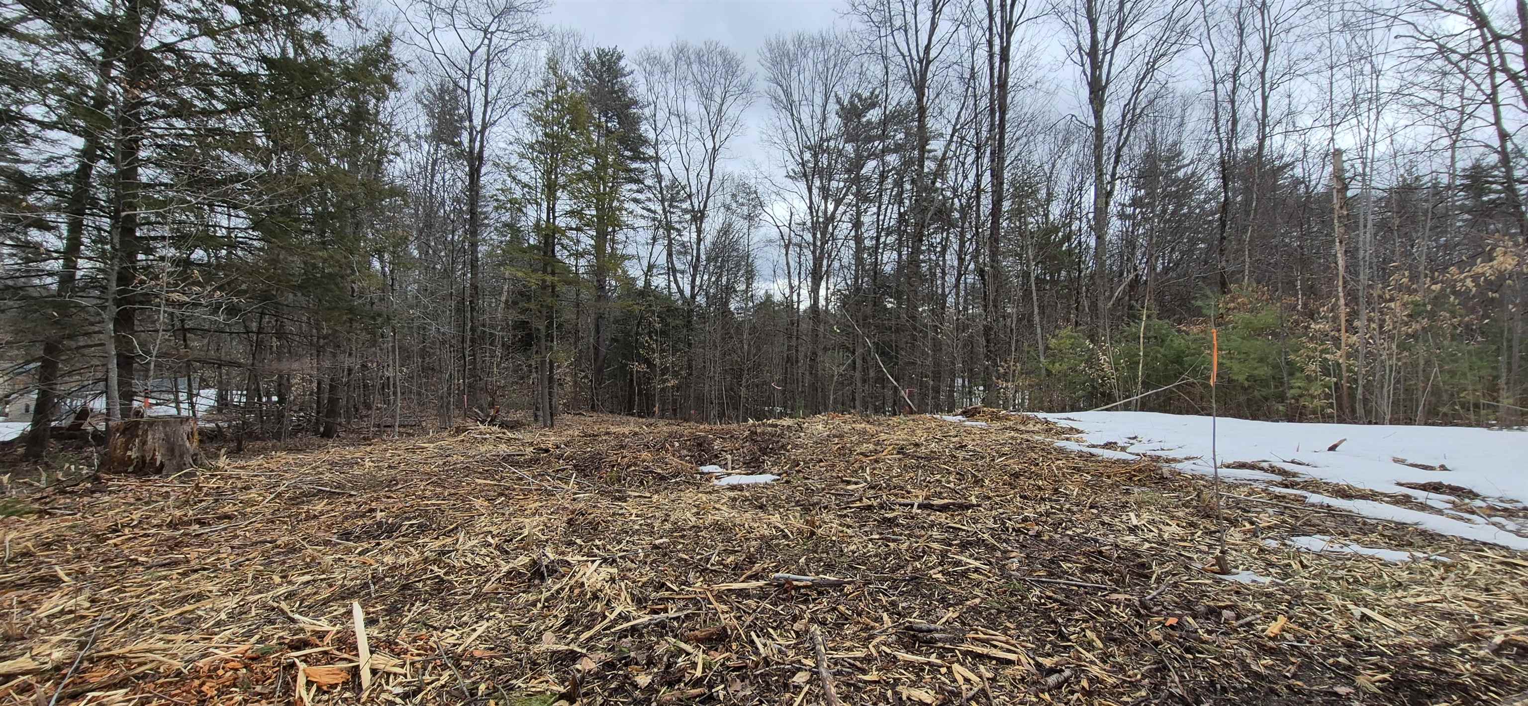 0 Poverty Plain Rd, Hillsborough, NH 03244