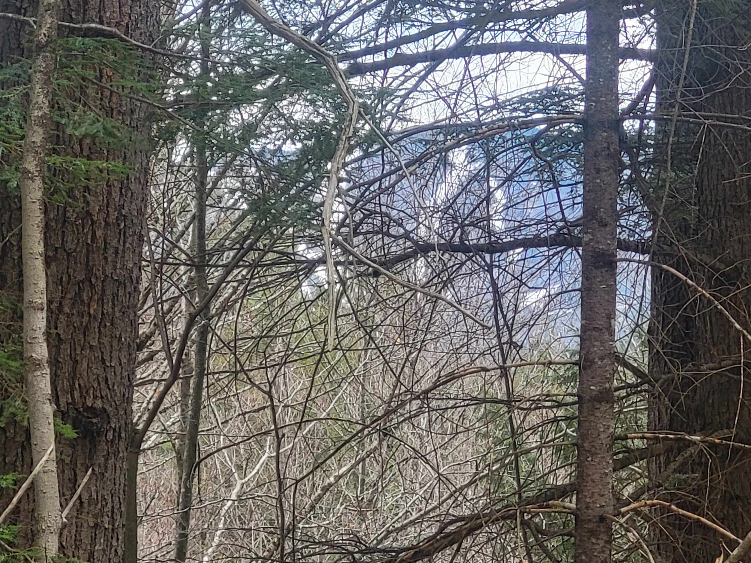 410-089-001 Eastern District Rd, Danbury, NH 03230