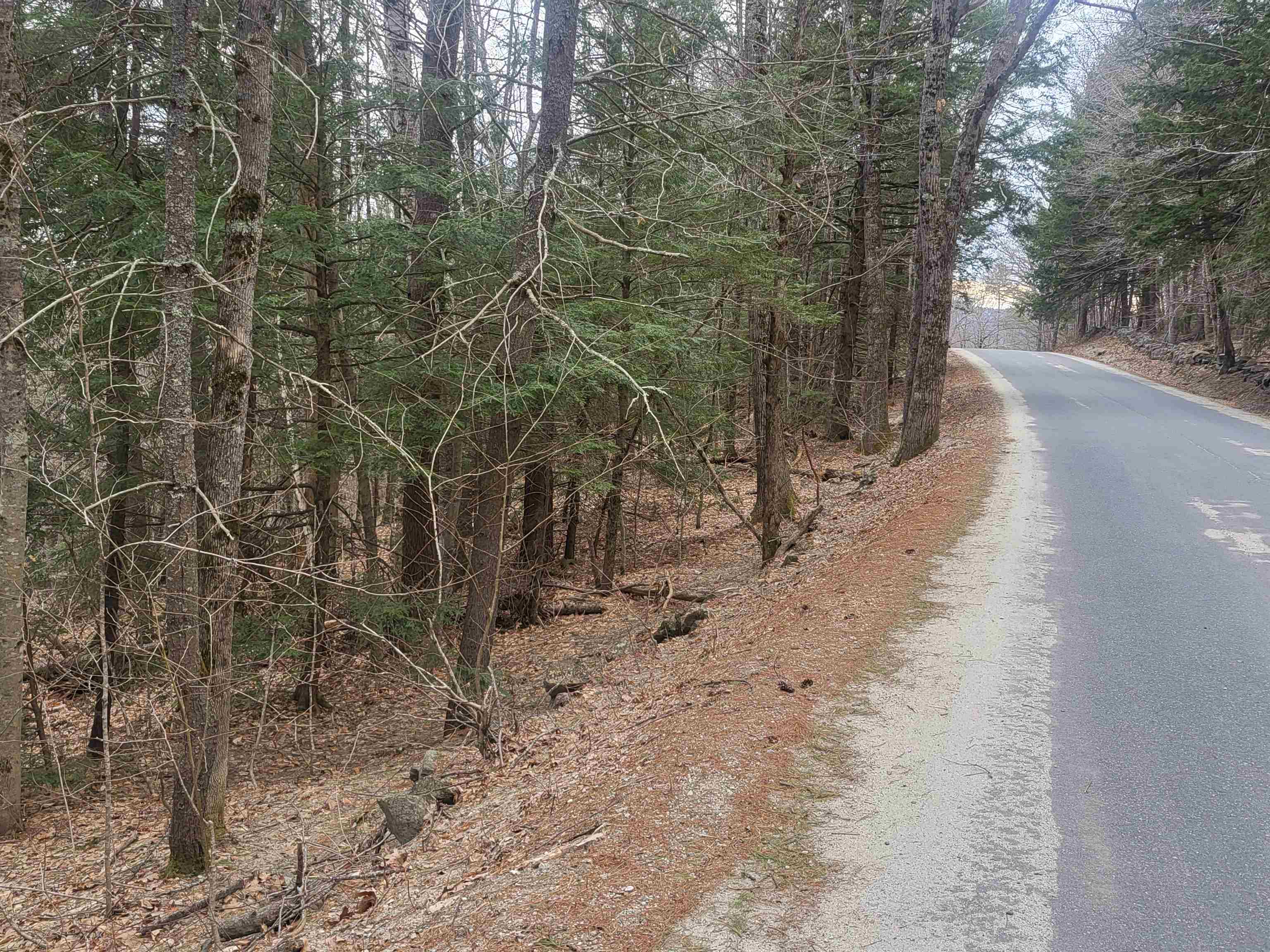 410-089-001 Eastern District Rd, Danbury, NH 03230