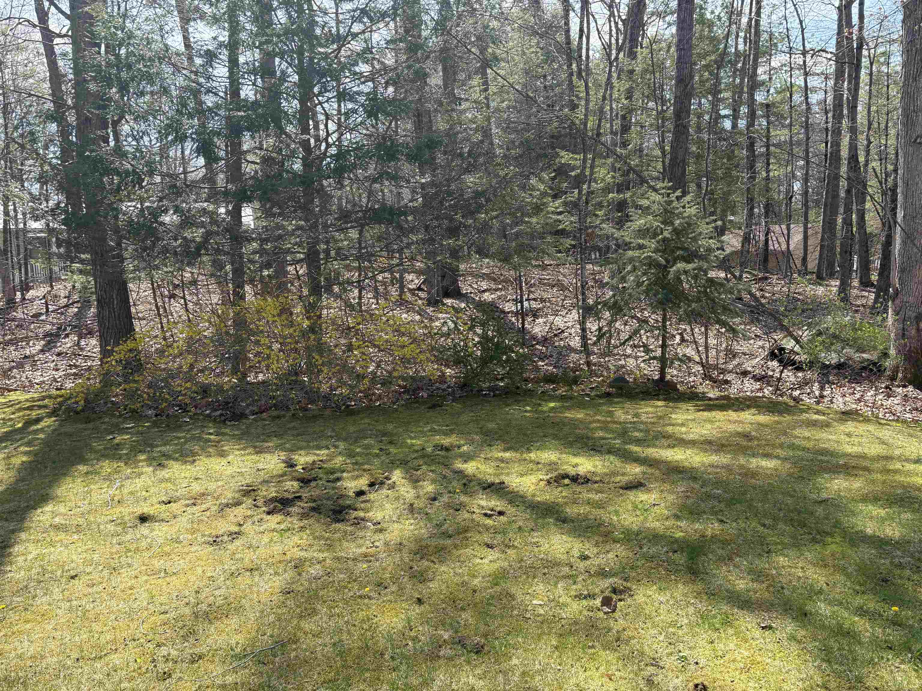 9 Kenyann Dr, Wolfeboro, NH 03894