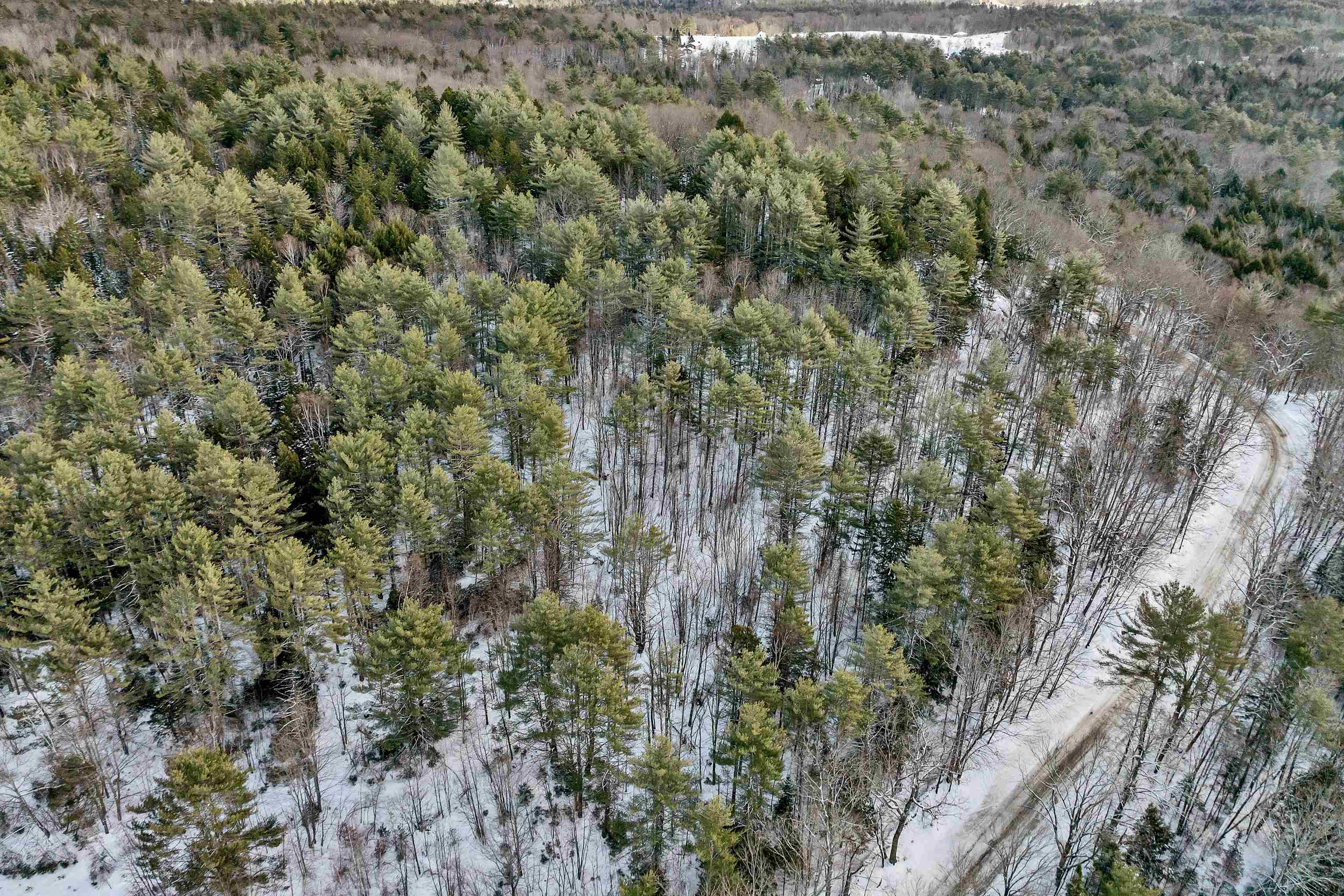 410-090-009 Eastern District Rd, Danbury, NH 03230