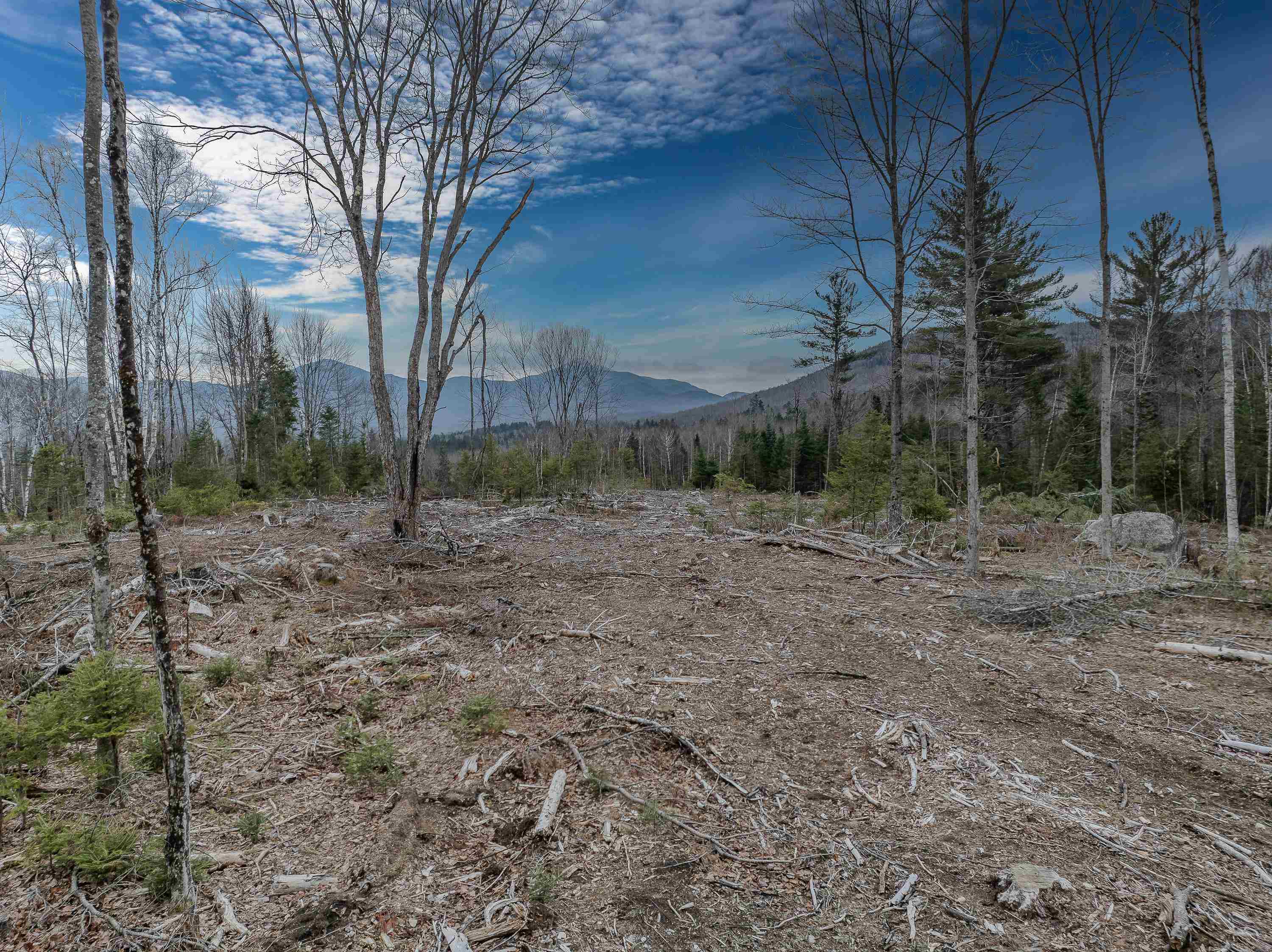 0000 Ridge Rd, Bethlehem, NH 03574