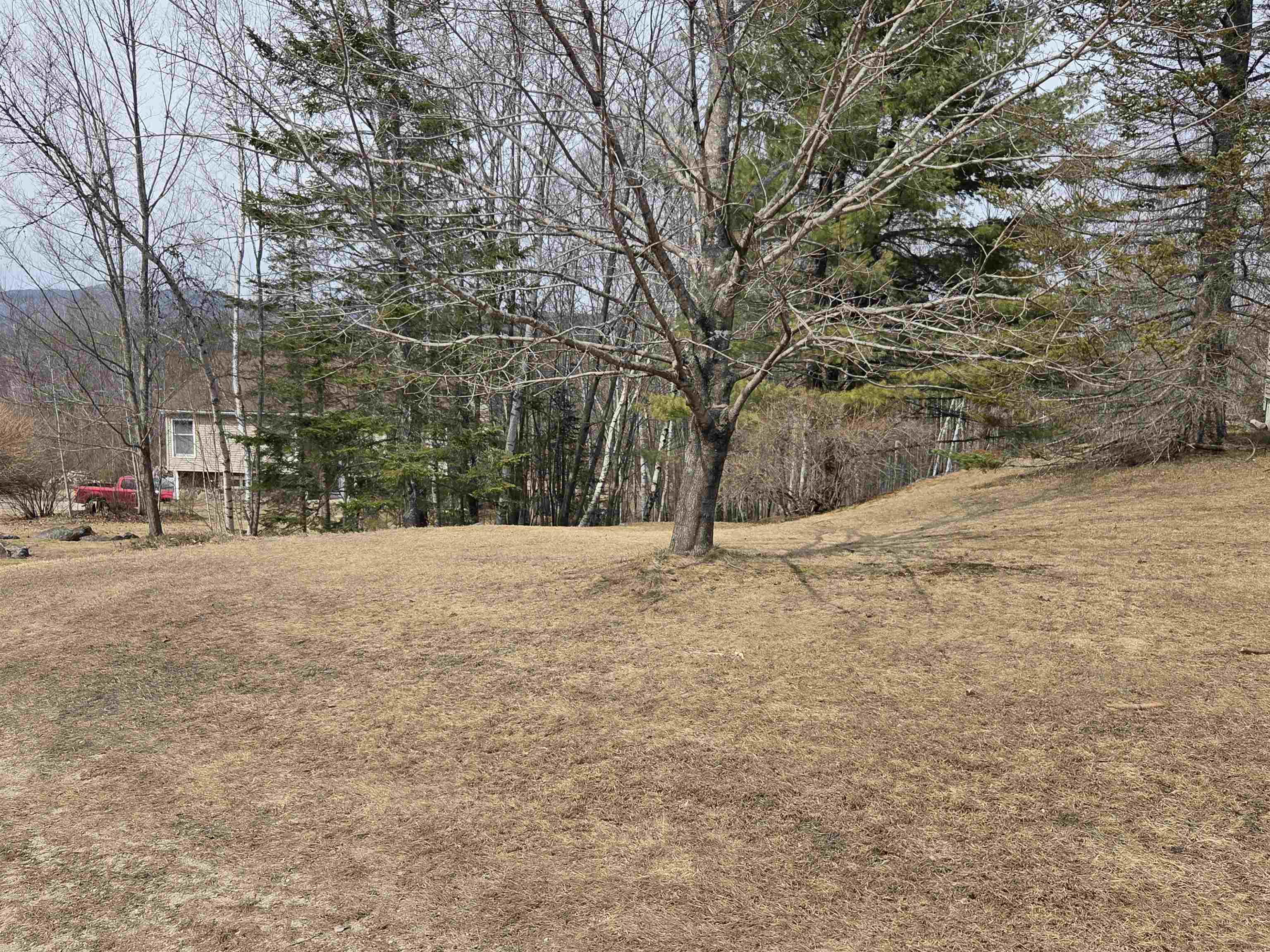 450 Upper Birch Dr, Bristol, NH 03222