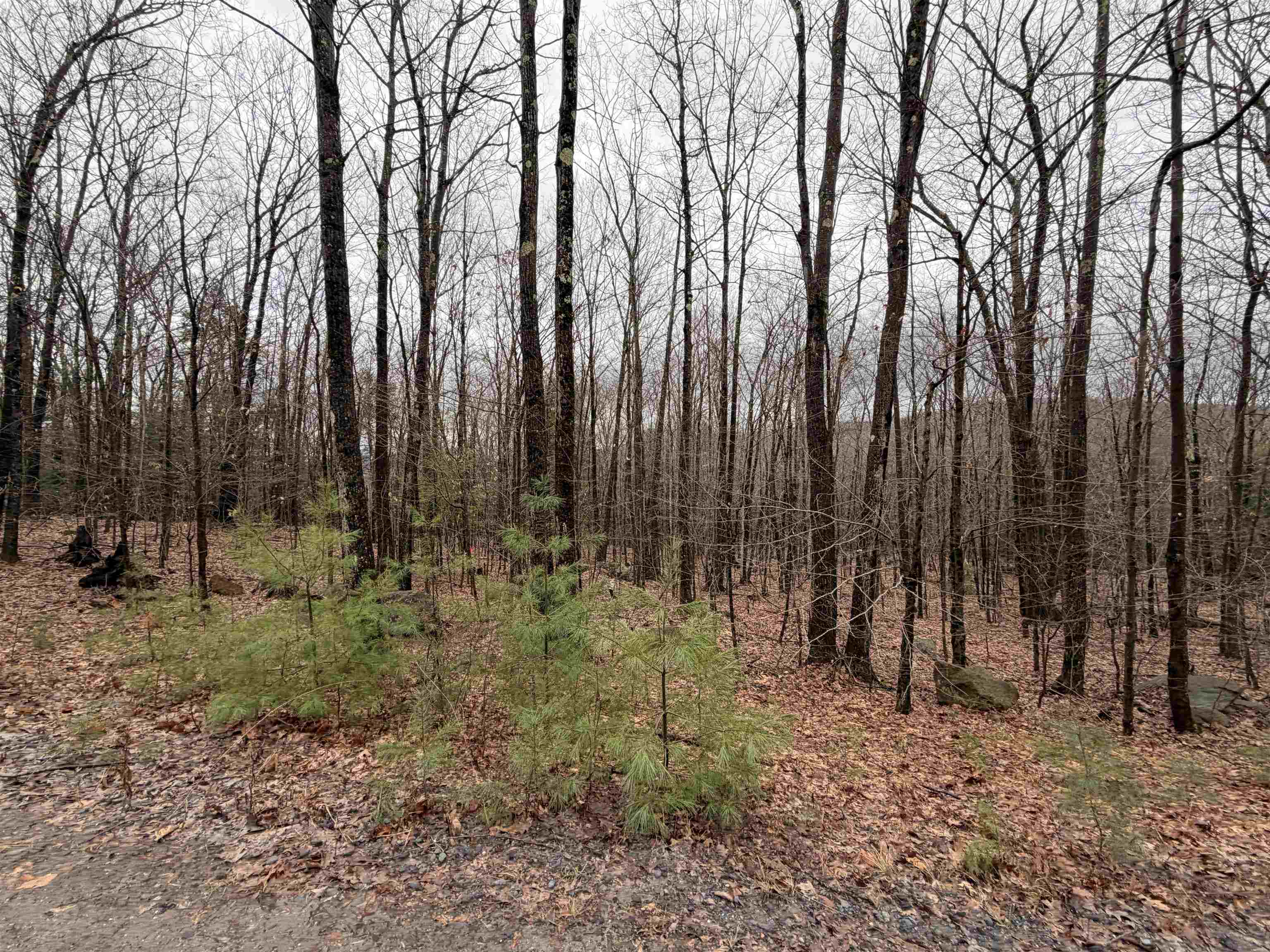 Old Walpole/valley View Rd, Keene, NH 03431