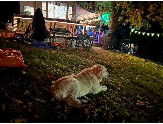 6 Viewland Ct, Alton, NH 03809