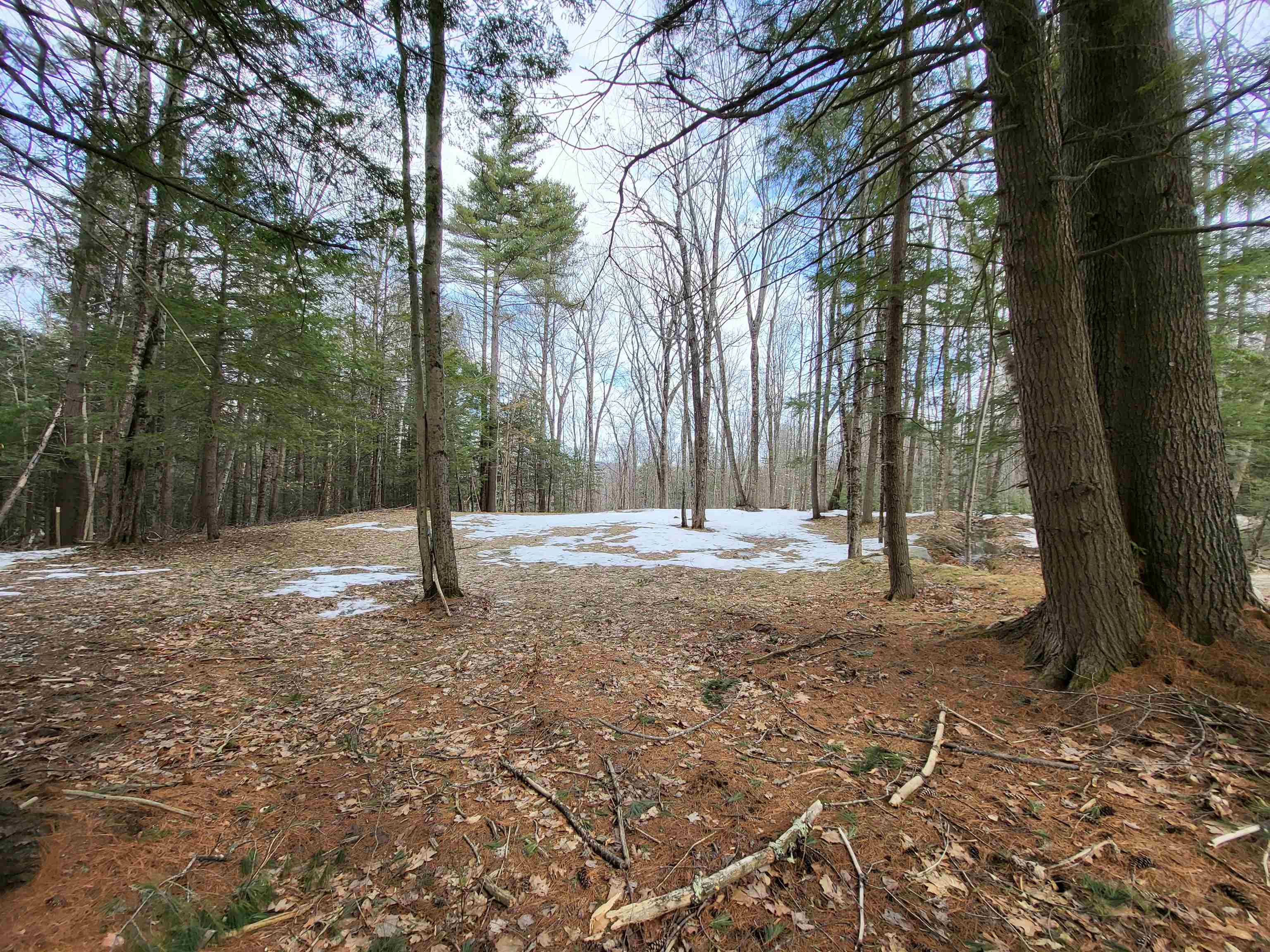 890 Washburn Rd, Alexandria, NH 03222