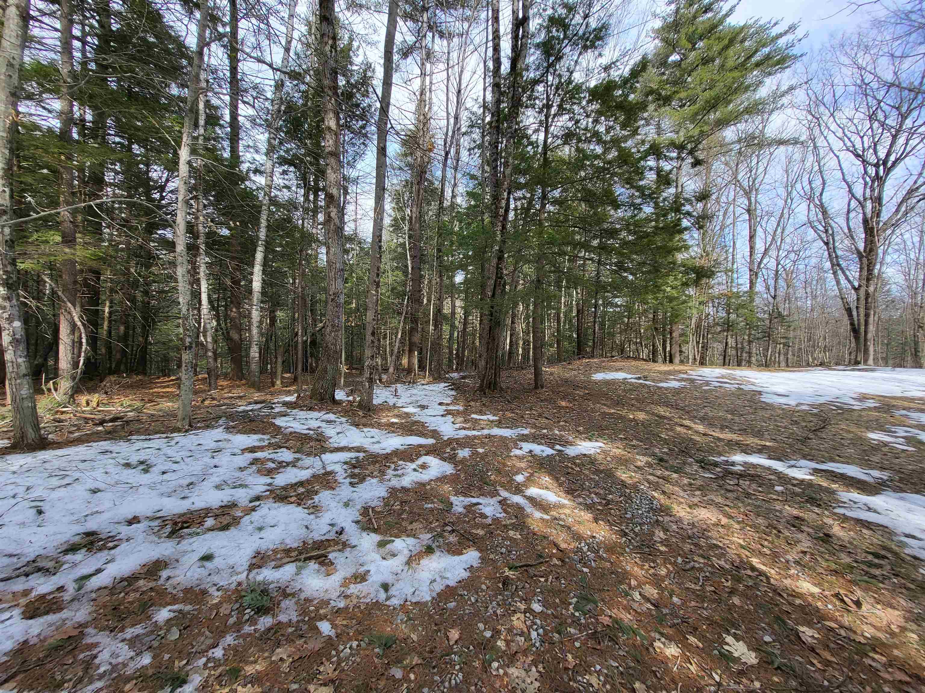 890 Washburn Rd, Alexandria, NH 03222