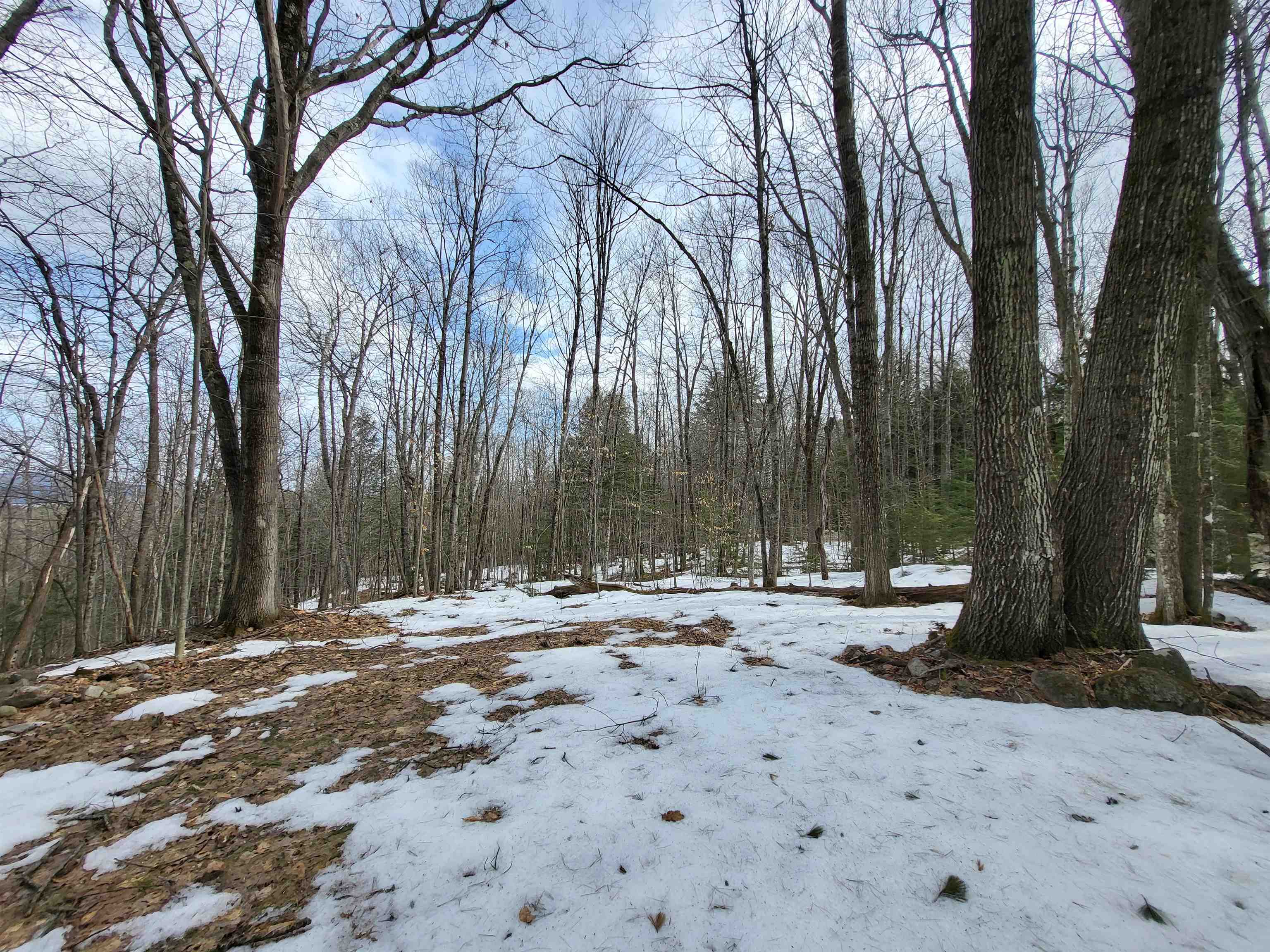 890 Washburn Rd, Alexandria, NH 03222