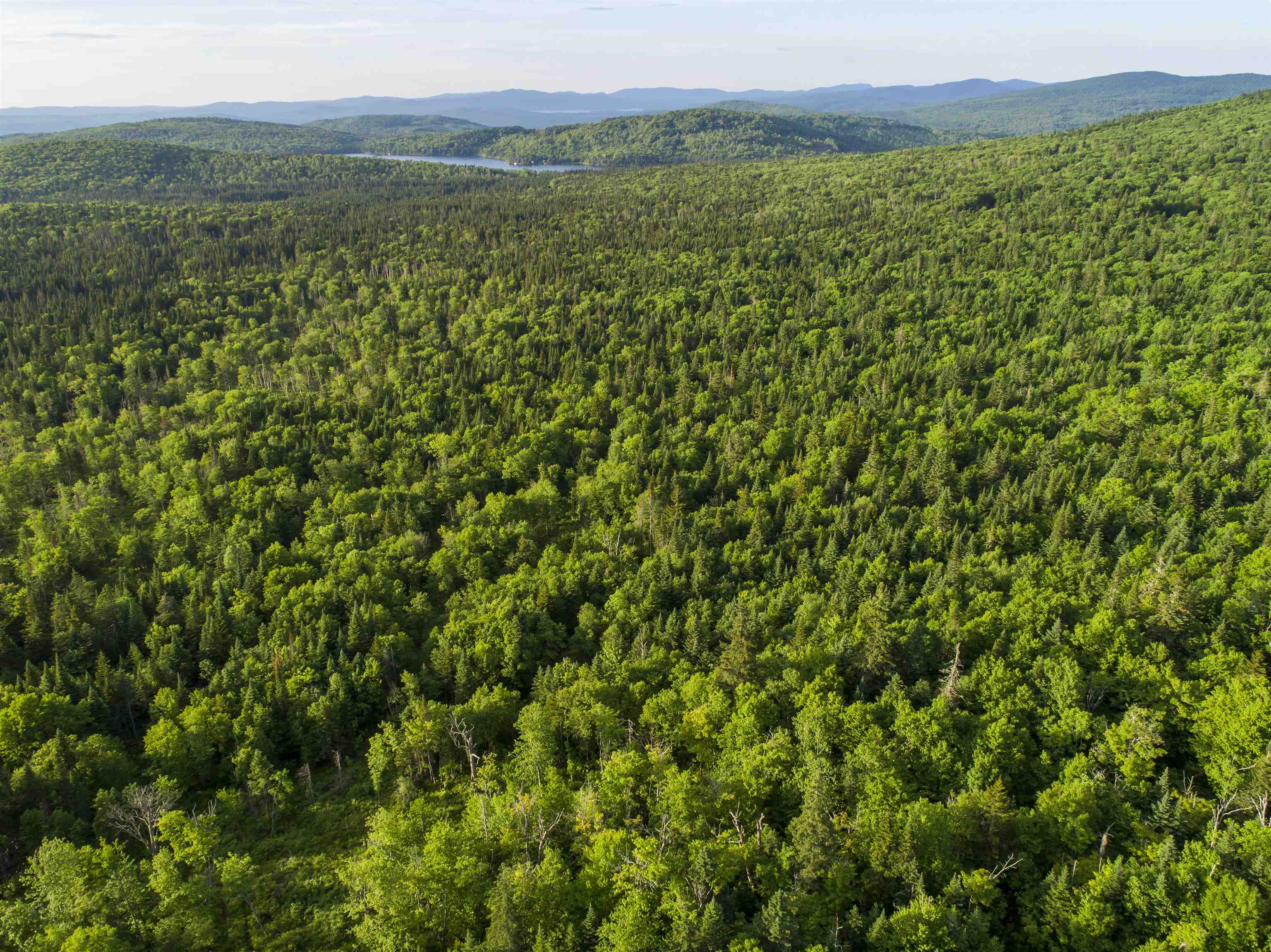 8 Diamond Pond Rd, Stewartstown, NH 03576