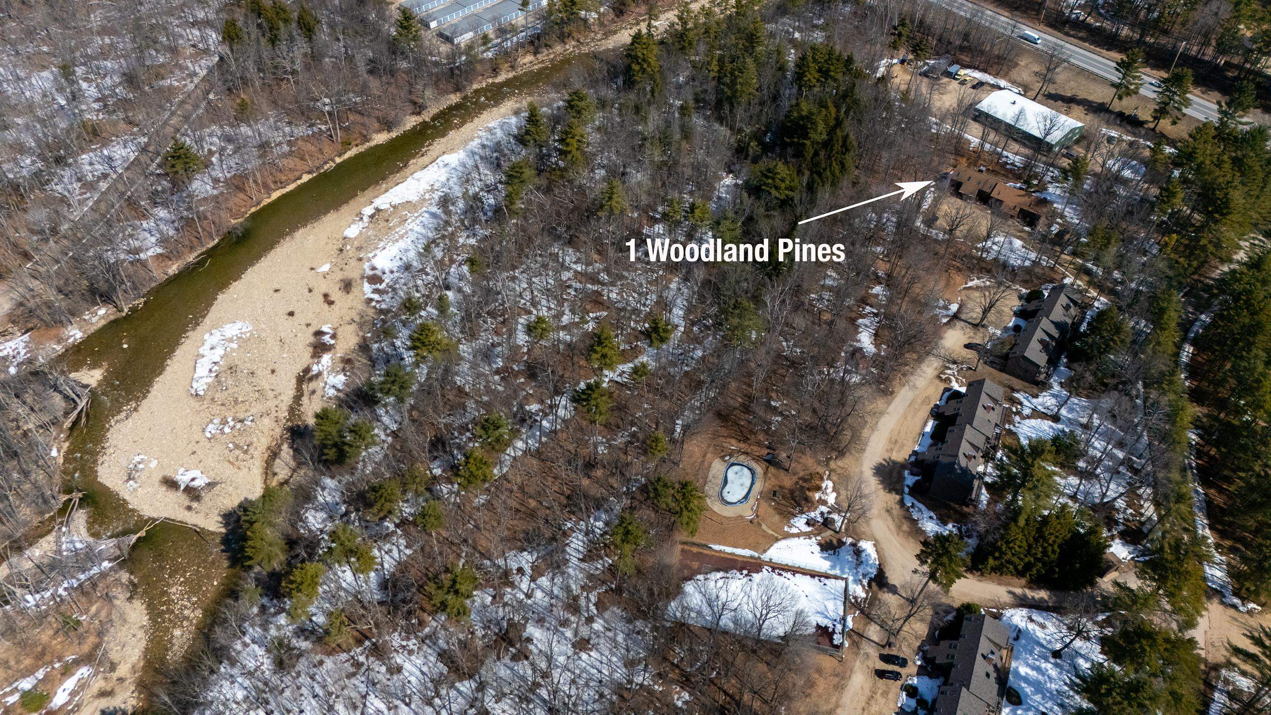 1 Woodland Pines Rd #1, Bartlett, NH 03812