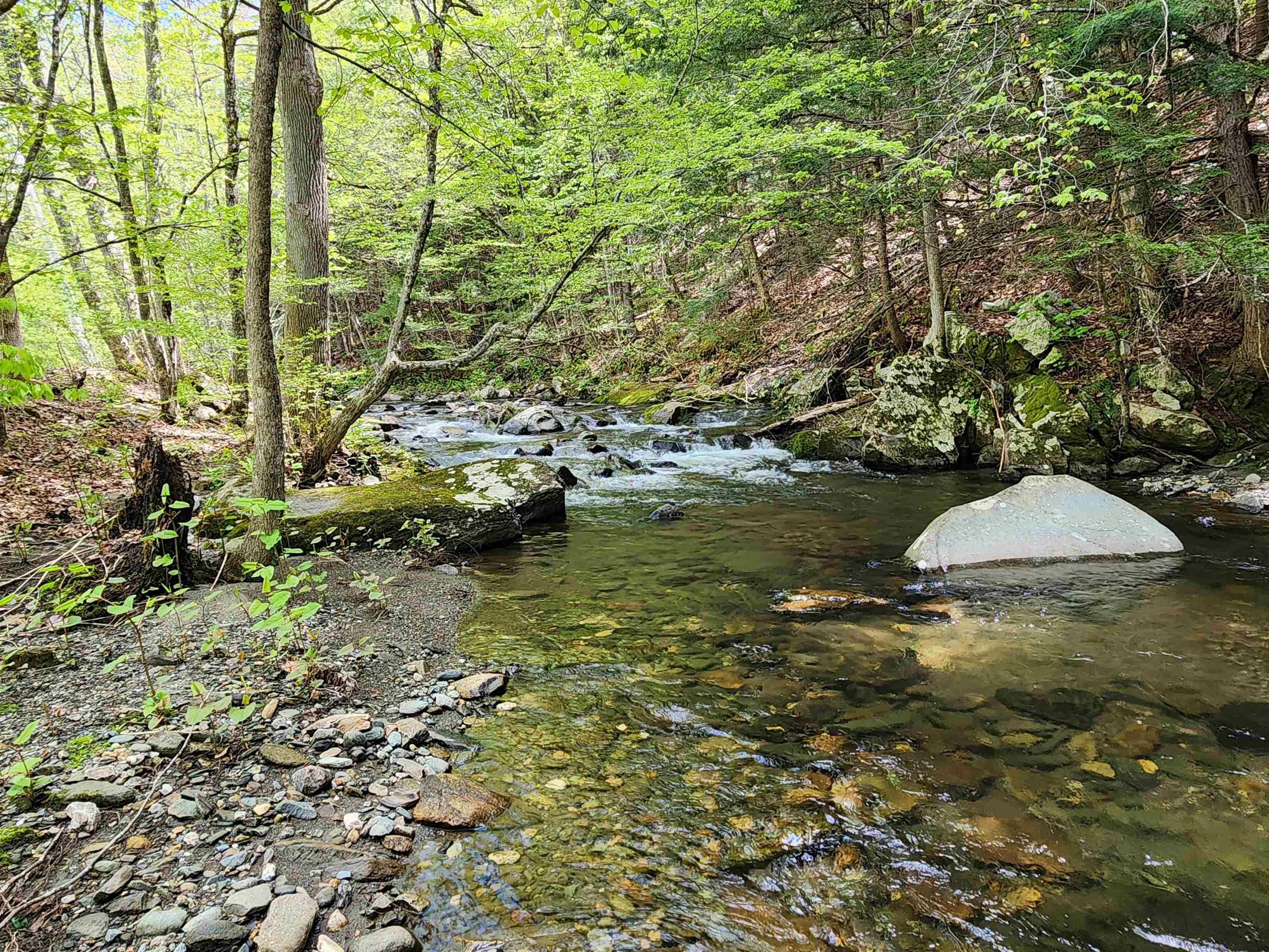 Brook frontage! 24943659