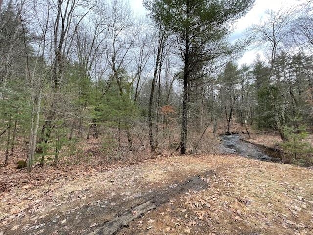 0 Pingree Hill Rd, Auburn, NH 03032