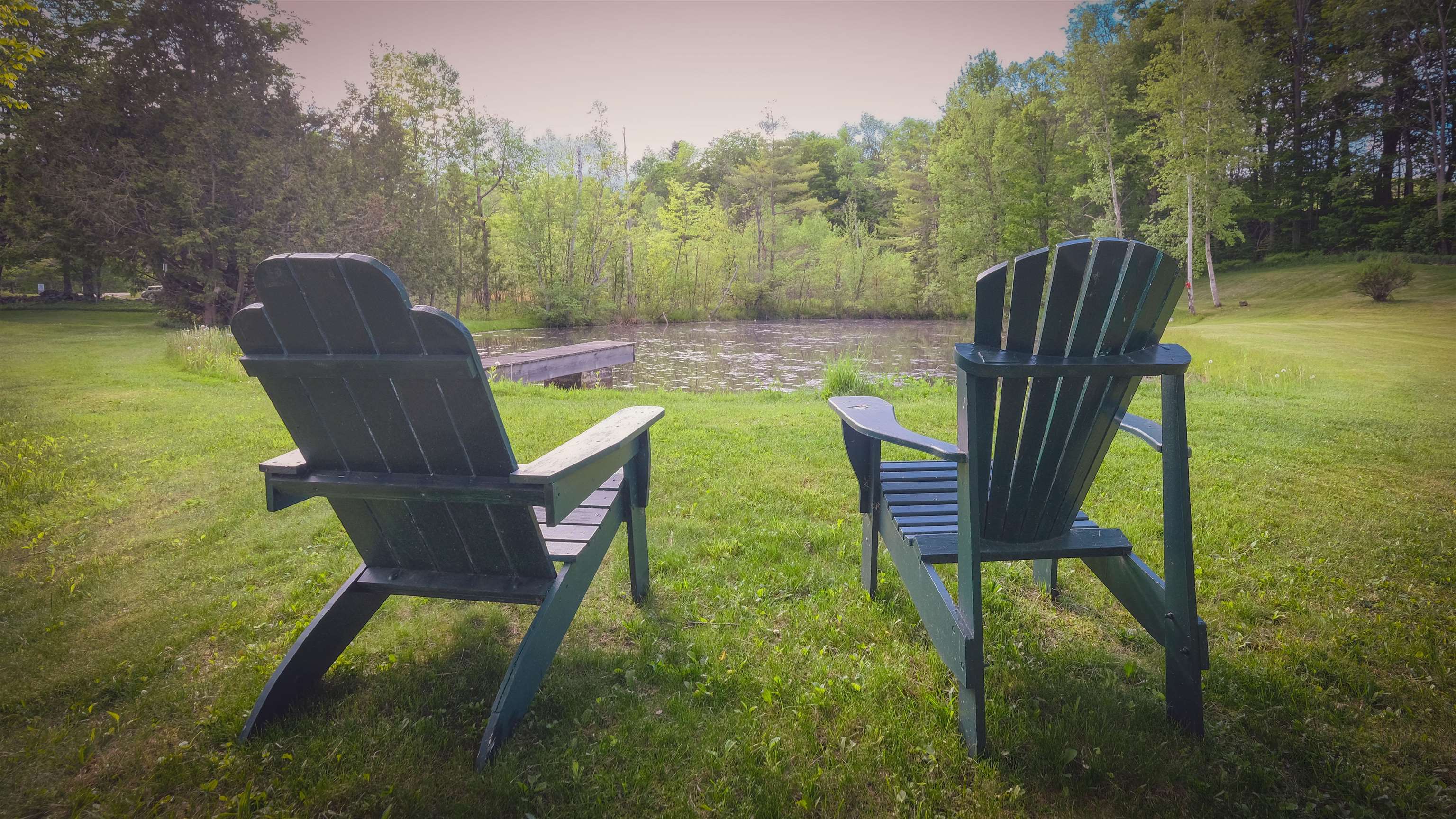 Enjoy the views of the spring fed pond 25417627