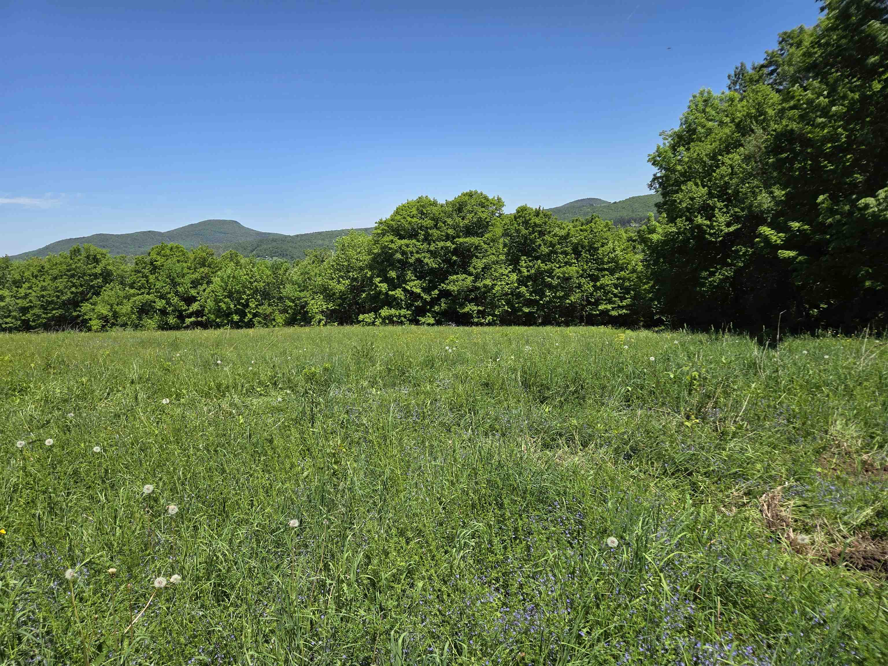 Property photo 42
