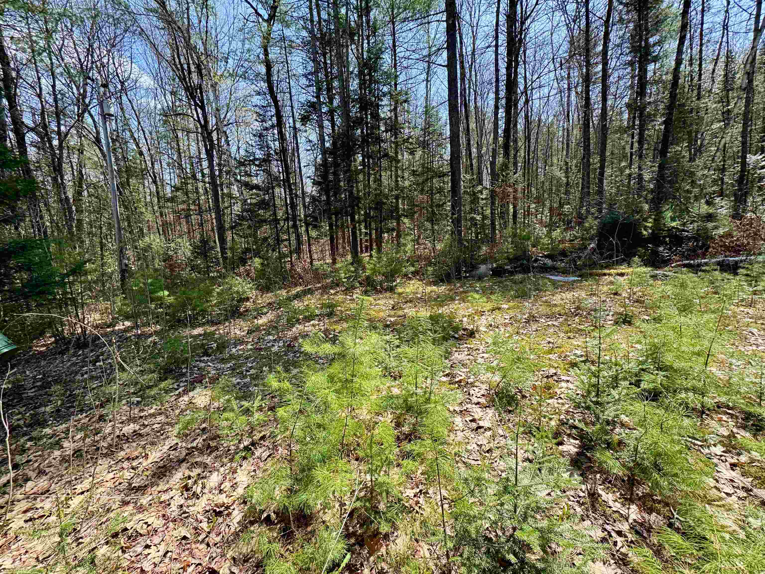 Newbury VT&nbsp;Land for sale $$100,000 | 11.1 Acres  | Price Per Acre $0  | Total Lots 2