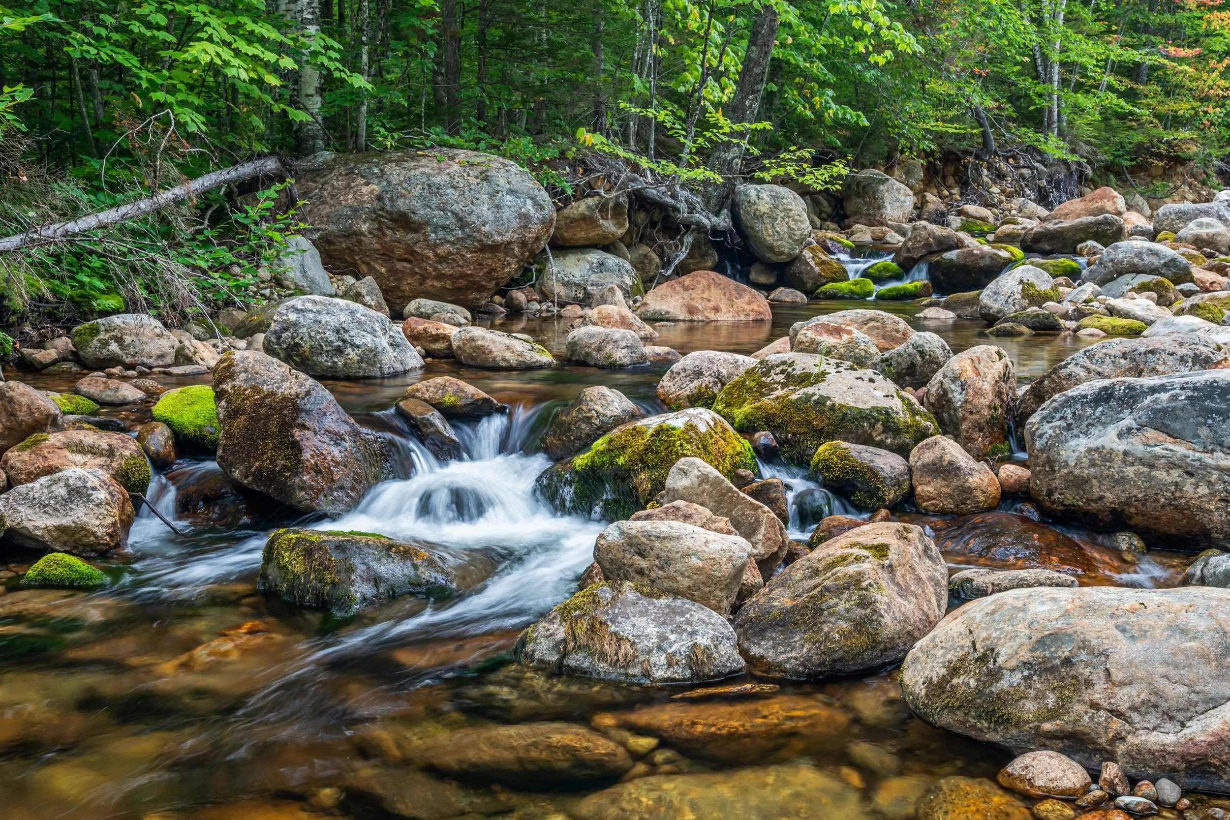 20 Meloon Rd, Jackson, NH 03846