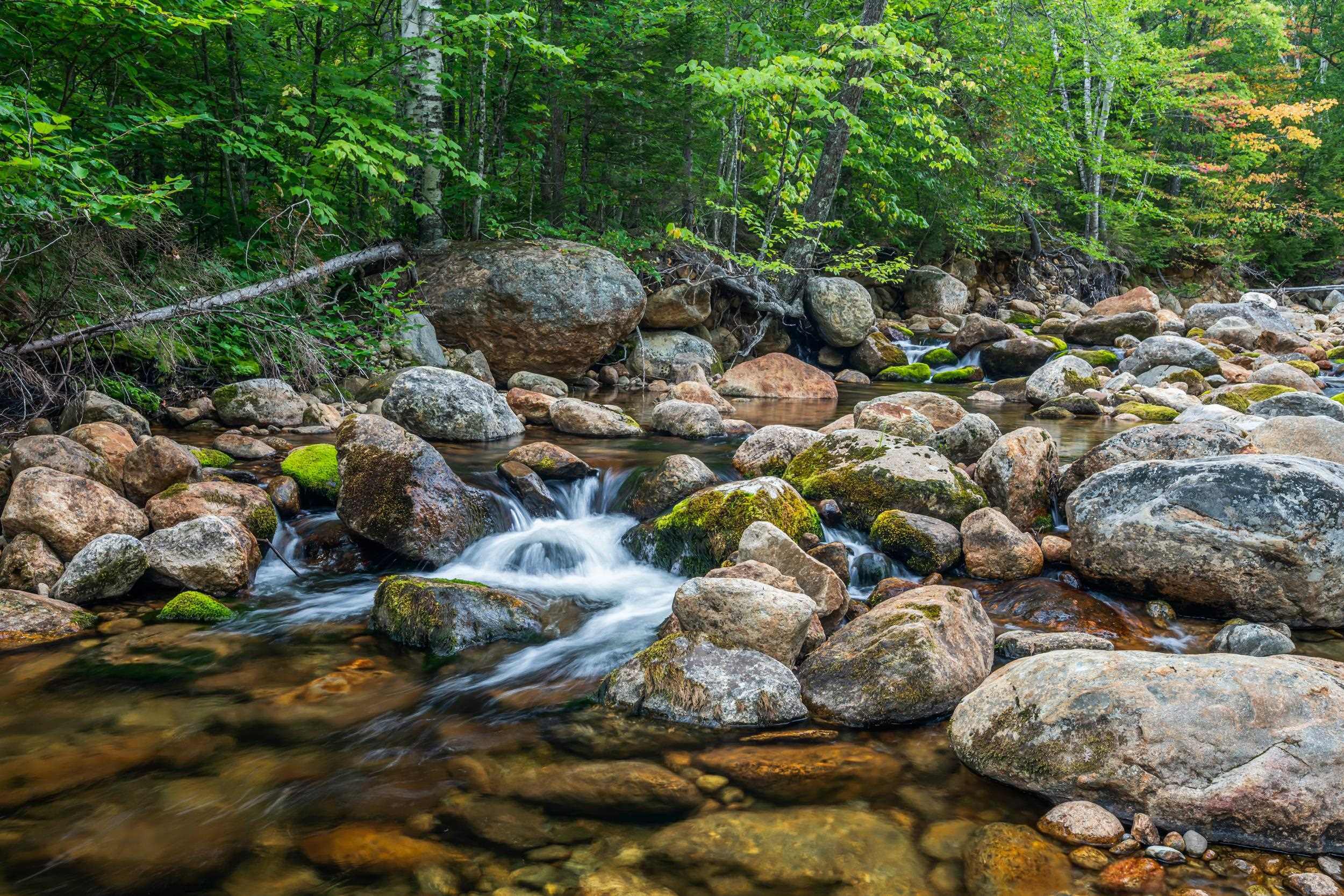 20 Meloon Rd, Jackson, NH 03846