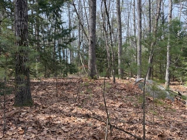 000 Ruonala Rd, Milford, NH 03055