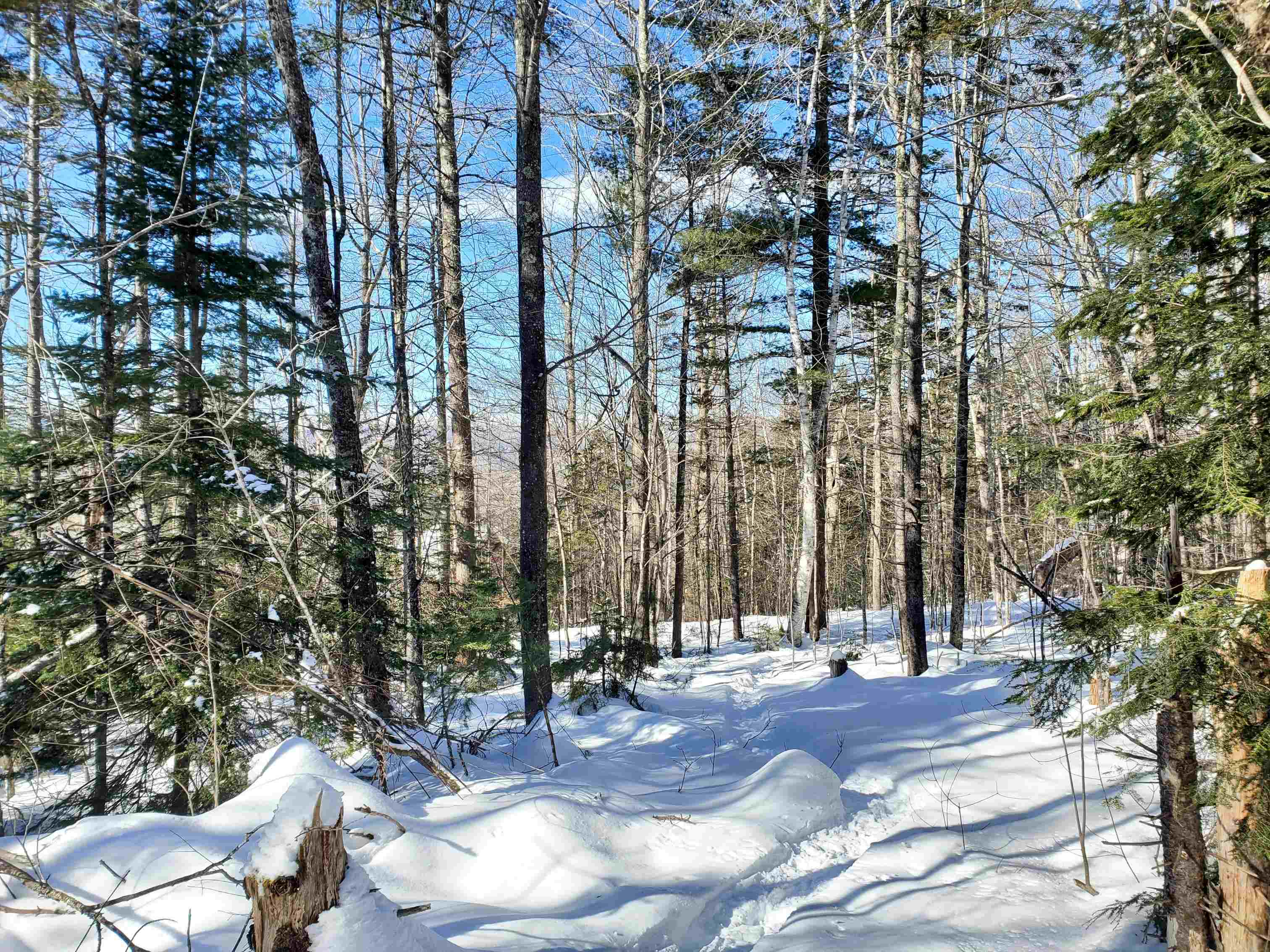 00 Tin Mine Rd, Jackson, NH 03846