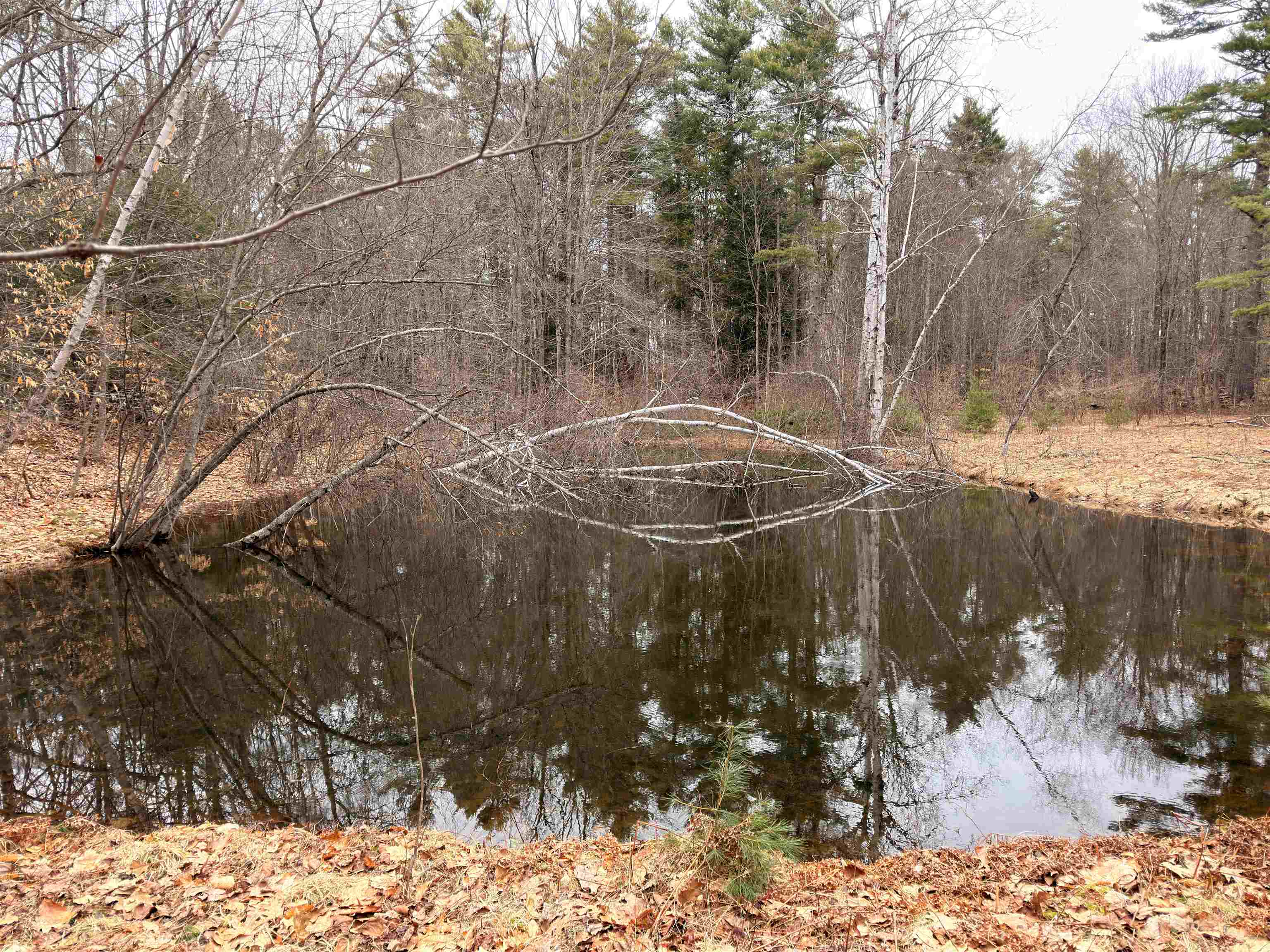 702 Province Rd, Belmont, NH 03220