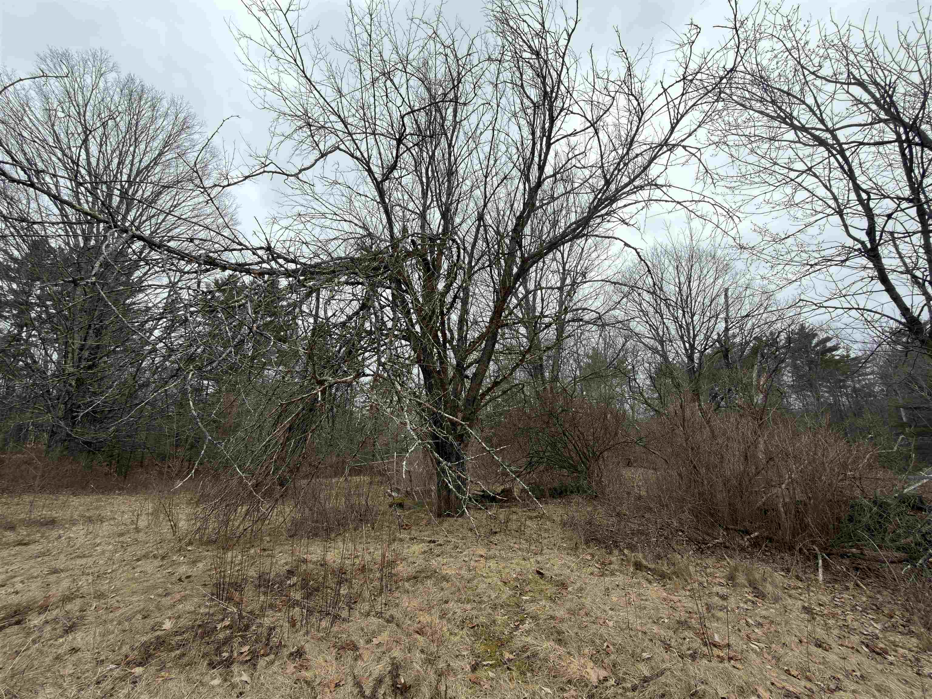 702 Province Rd, Belmont, NH 03220