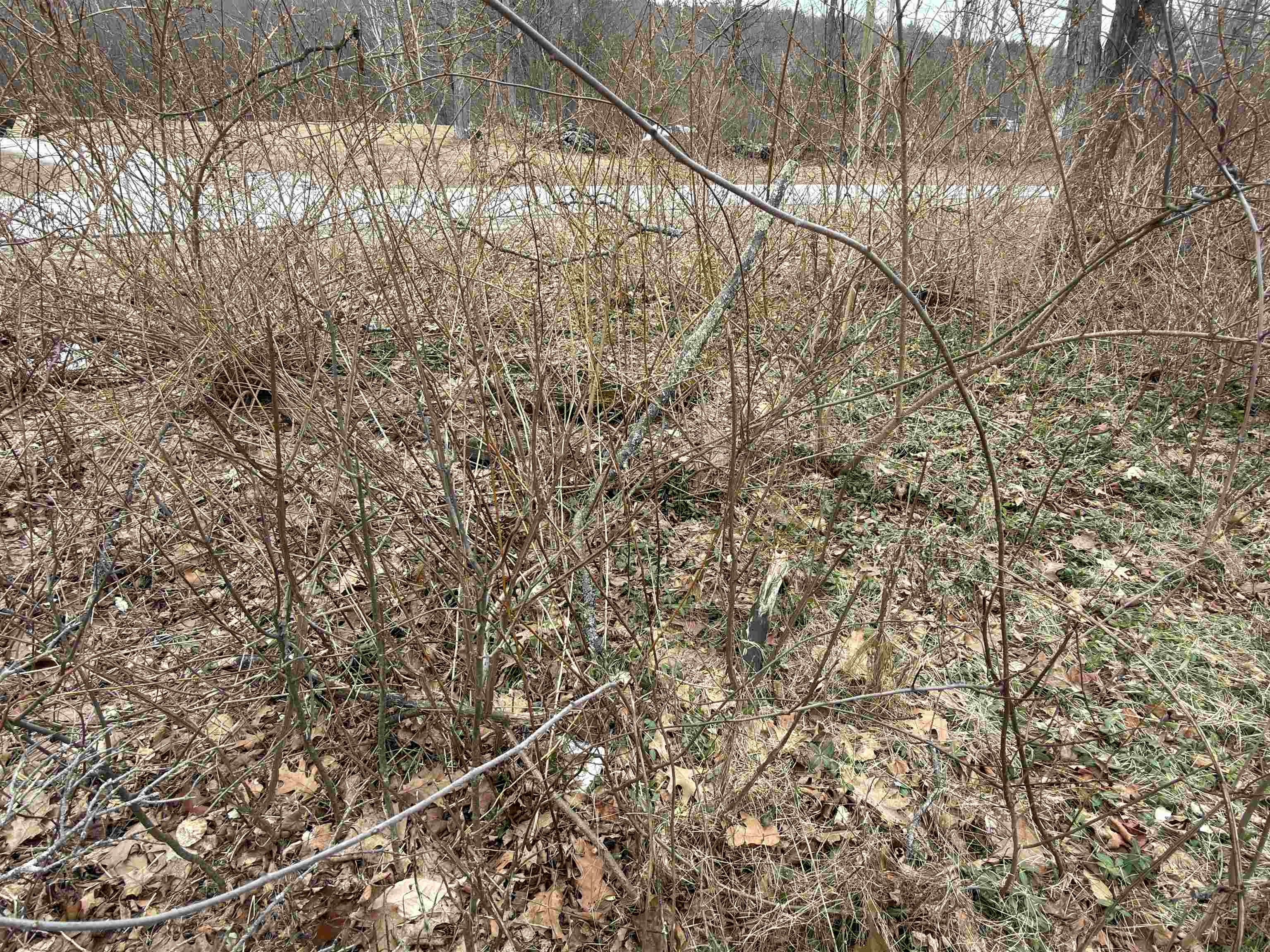 702 Province Rd, Belmont, NH 03220